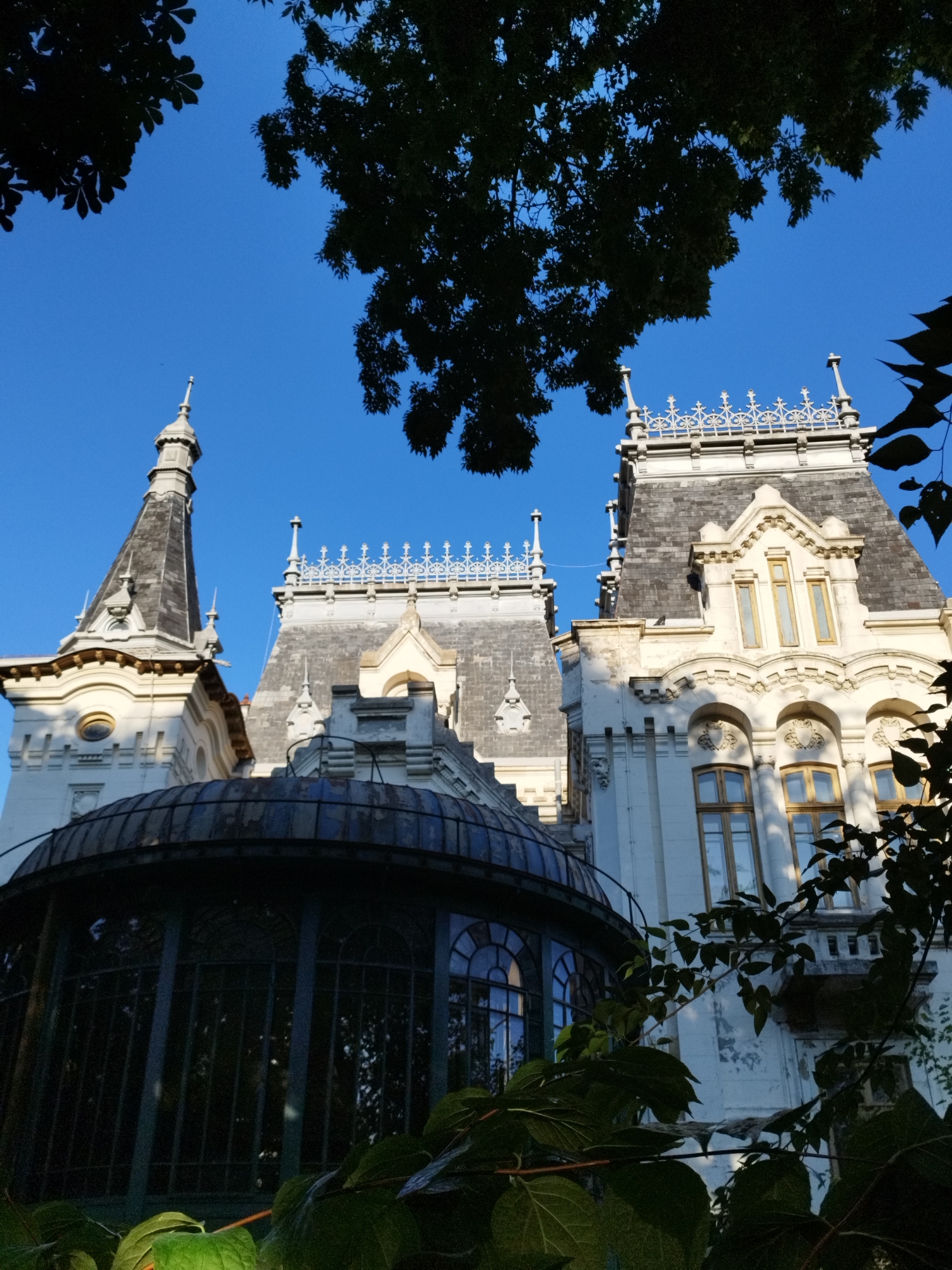 This is a low-angle, upward shot of the Palace of Culture in Bucharest, Romania, on a clear day with a bright blue sky. The ornate white facade of the palace is visible, featuring multiple towers with intricate architectural details, including decorative railings and pointed spires. The roofs are tiled in dark grey, and several tall, narrow windows with golden frames are prominent. In the foreground, the dark, metallic structure of a conservatory or greenhouse with arched windows can be seen, partially obscured by lush green foliage. The leaves of trees, silhouetted against the sky, frame the top and right edges of the image. There are no people or animals visible in the scene.