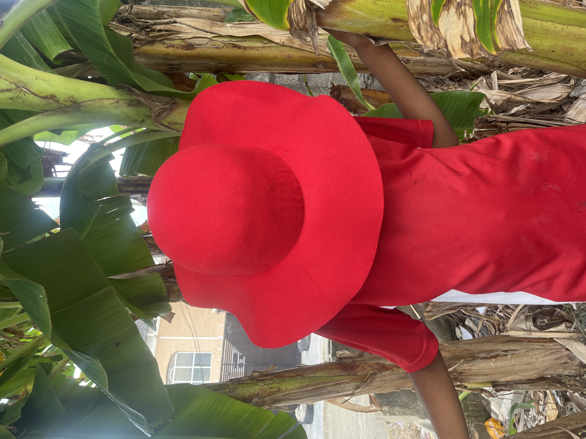 A person wearing a red shirt and a large red hat is standing amongst the trunks and leaves of banana trees. The image was taken from a low angle, looking upwards, partially obscured by the leaves. In the background, a building with a window is visible. The location is Iranla, Nigeria.
