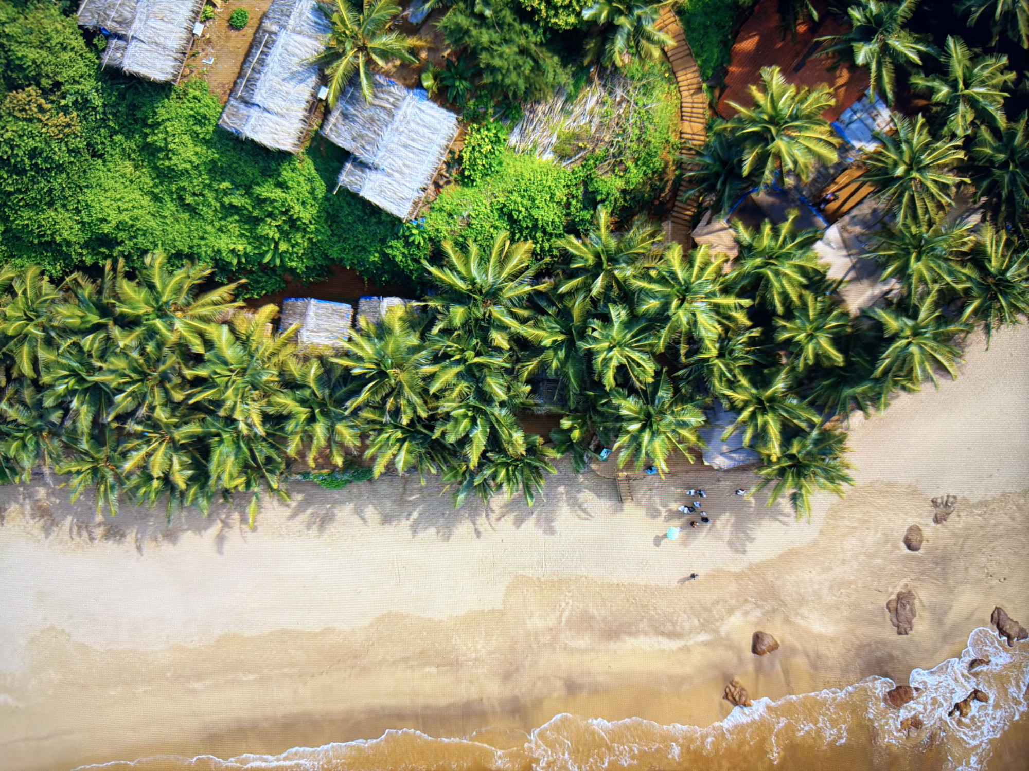 The image is an aerial view of a tropical beach resort. The left side of the image shows the sandy beach with waves crashing ashore and a few rocks scattered on the sand. Several people are visible walking on the beach. To the right of the beach, there is a dense line of palm trees. Beyond the palm trees, there are several thatched-roof bungalows, indicating a resort or lodging area. The environment is lush and green, suggesting a warm, sunny climate. There is no indication this scene is located in Kyiv, Ukraine.