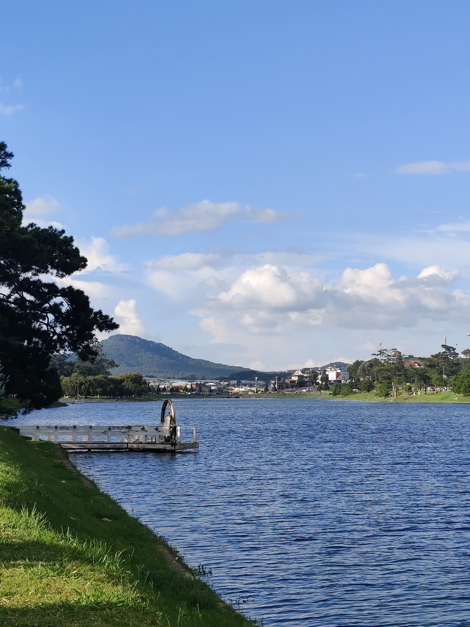 A scenic view of Xuan Huong Lake in Da Lat, Vietnam, captures a bright, partly cloudy day. The foreground features a grassy embankment sloping down to the rippling blue water. A white wooden pier juts out into the lake, equipped with a circular metal structure, possibly a water wheel or decorative element. To the left, the dark green foliage of a pine tree frames the scene. In the distance, across the lake, a gentle hillside is dotted with buildings, trees, and infrastructure, suggesting a settled urban or suburban area. The sky above is a vibrant blue, interspersed with fluffy white clouds. The overall impression is one of tranquility and natural beauty within a populated landscape.