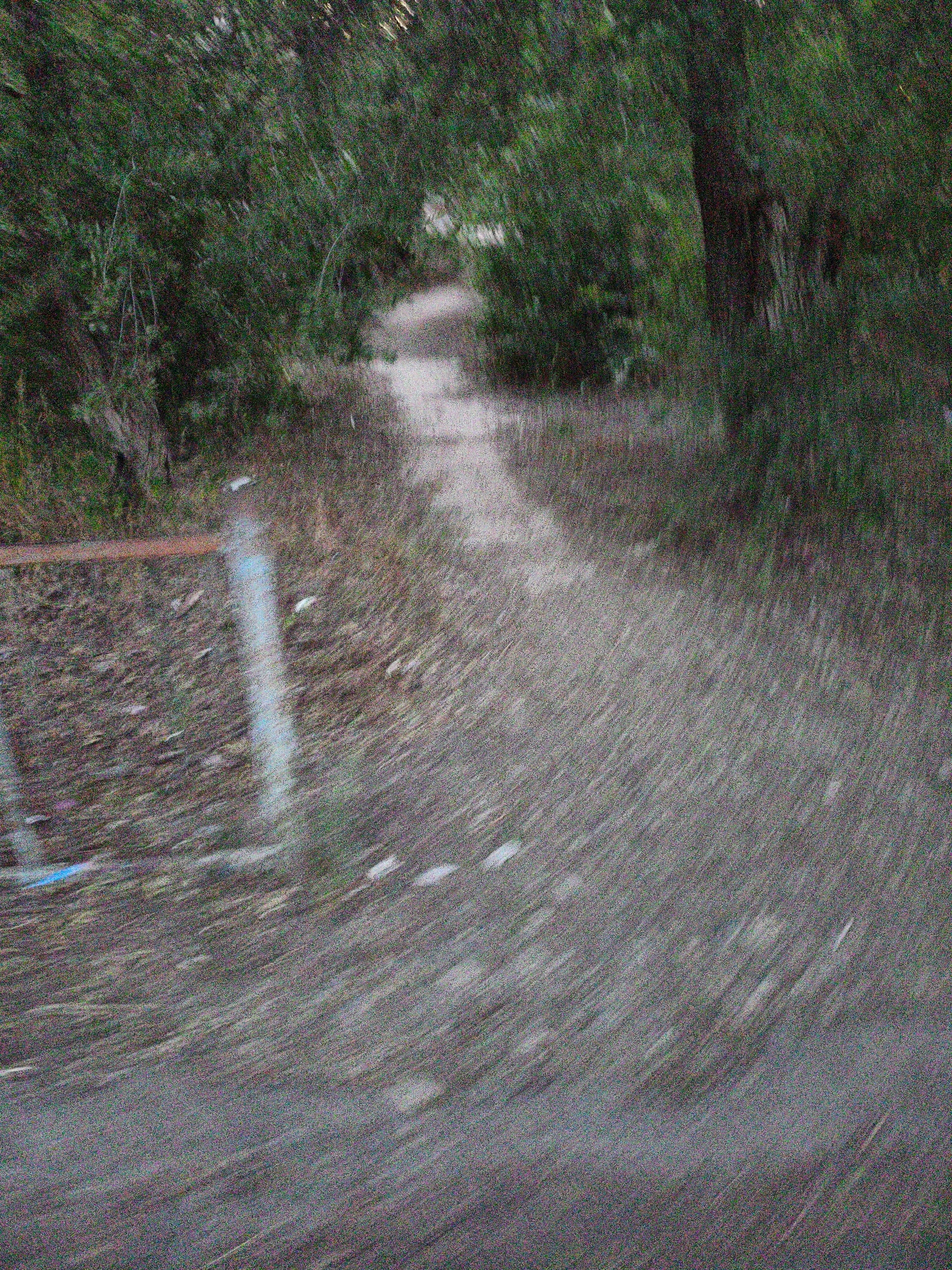 The image depicts a blurred outdoor scene of a path winding through foliage. The path appears to be dirt or gravel and is flanked by dense greenery, likely trees and bushes. A thin, vertical, light-colored object, possibly a post or stake, is visible in the foreground, slightly to the left of the center. To the left of this object, a horizontal, rust-colored bar is partially visible, suggesting a fence or railing. The overall impression is one of motion blur, indicating that the photograph was taken while the camera was moving. The specific location in Aktobe, Kazakhstan, cannot be determined from the visual information provided in the image.