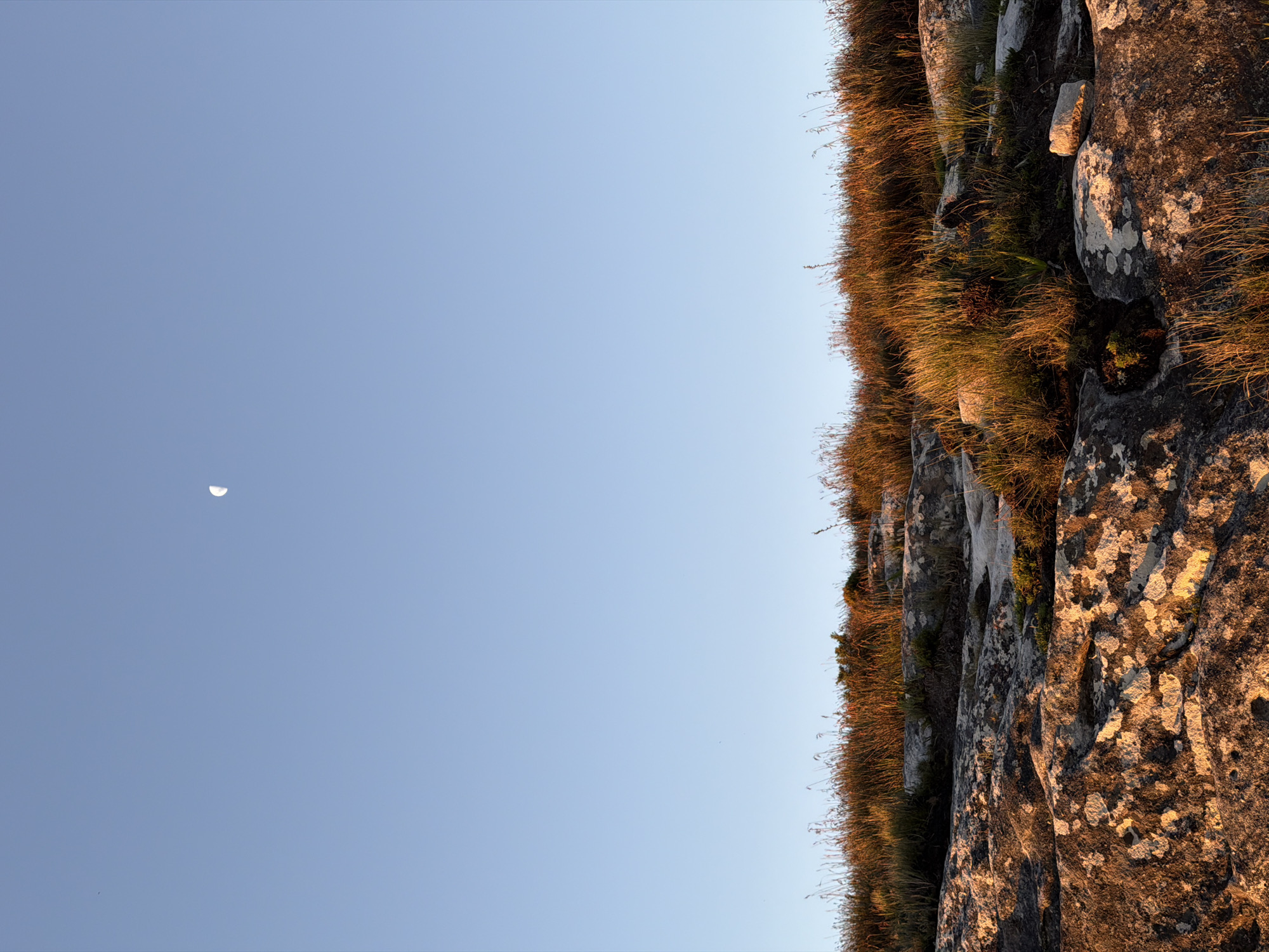 The image shows a rocky cliff face covered in dry grass against a clear blue sky. A crescent moon is visible in the upper left portion of the frame. Based on the terrain and vegetation, it is likely that the image was taken in or near the city of Cape Town, South Africa, a location known for its dramatic mountain cliffs.