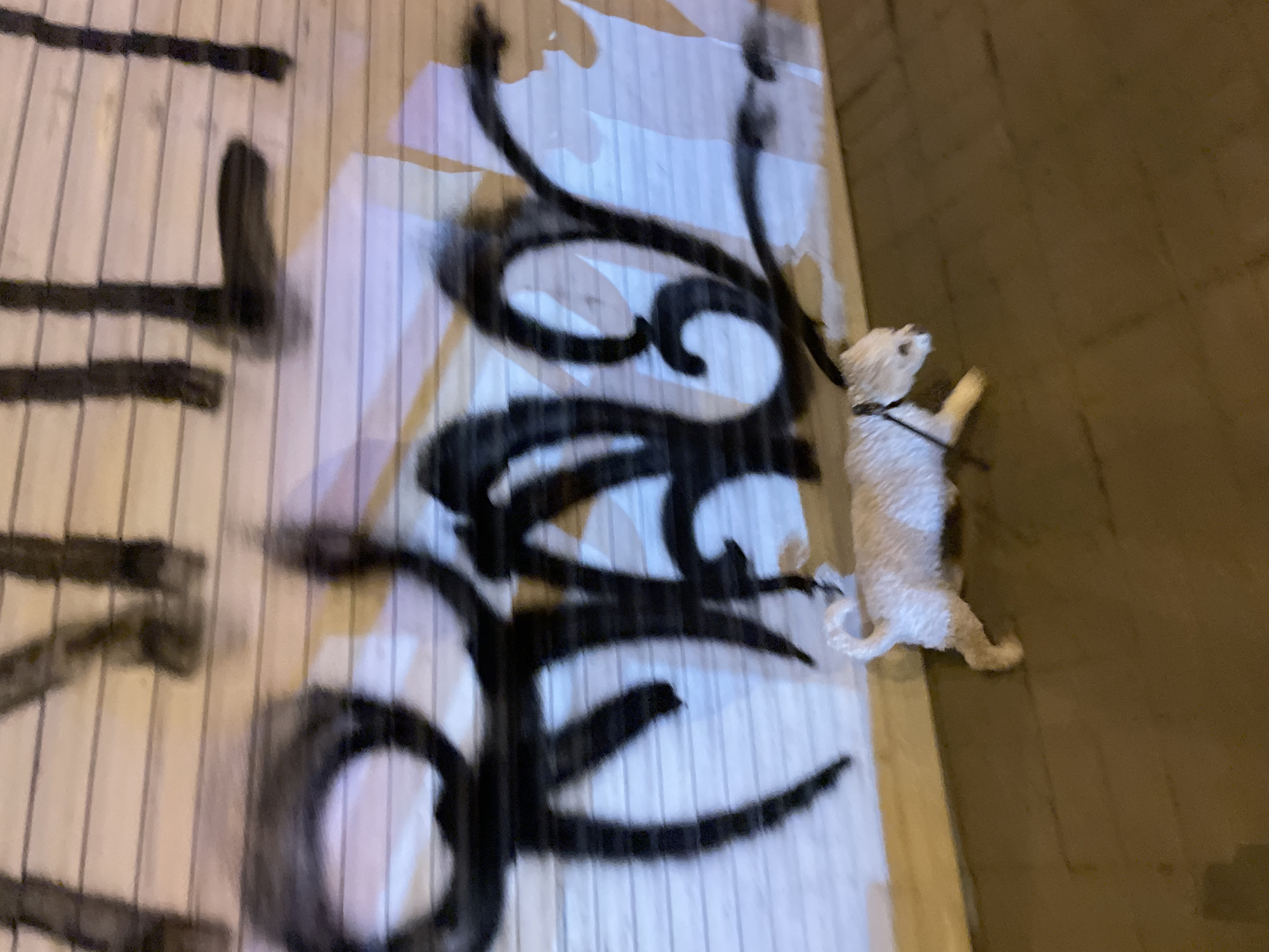 A blurred, low-angle shot depicts graffiti on a panelled wall, with a small white dog standing near the edge of the wall, next to a darker surface. The graffiti is in black and appears to be a combination of abstract shapes and letter-like forms. The dog is wearing a harness.
Without more specific information, determining the exact location in Yekaterinburg is impossible.