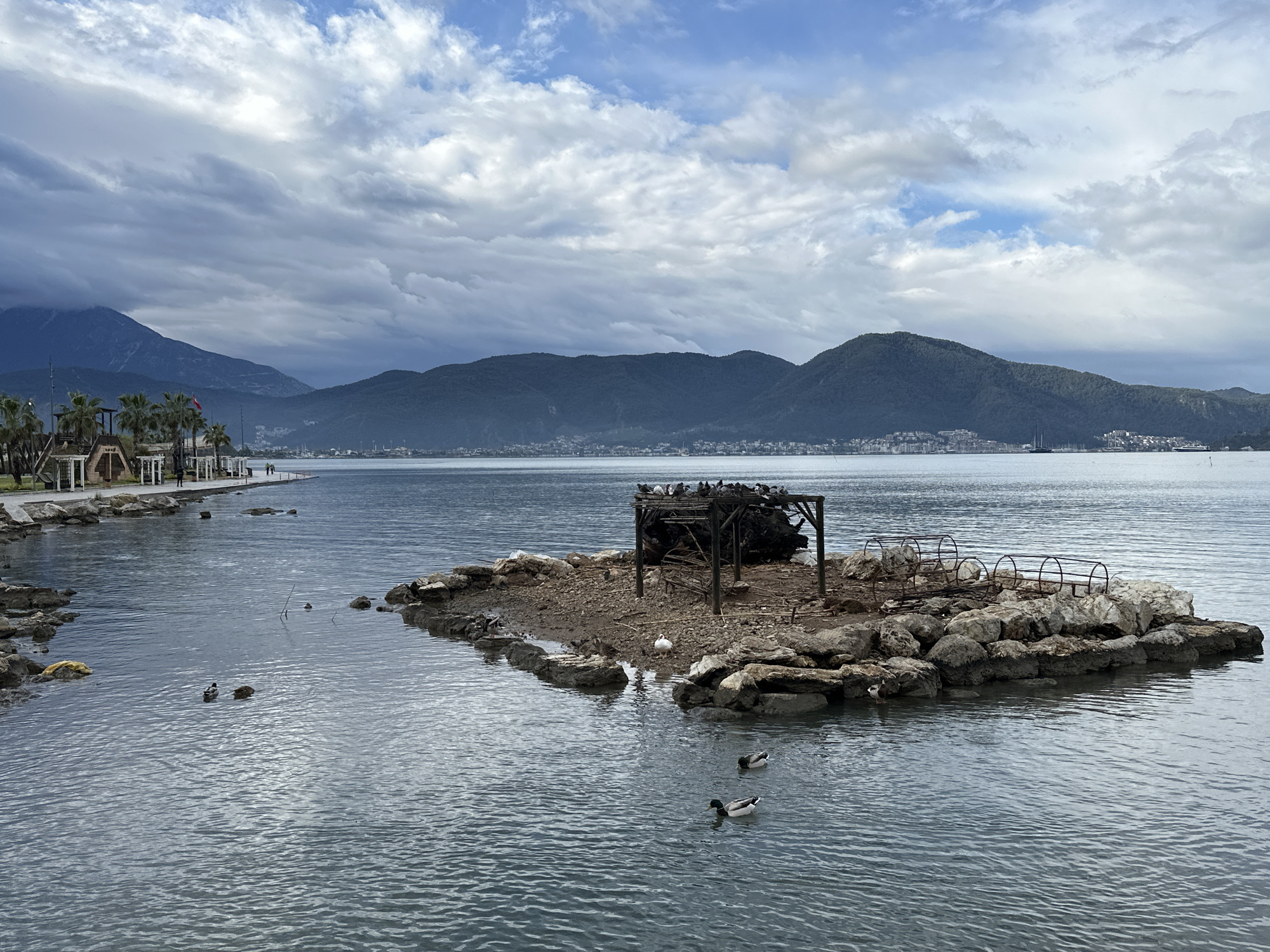 The image depicts a waterfront scene in Fethiye, Turkey. In the foreground, calm water reflects the sky. Several ducks swim in the water. A small, rocky island with a dilapidated wooden structure stands in the middle ground. The structure is covered in birds, possibly pigeons. Scattered debris and rusting metal benches are also visible on the island.
On the left, a paved promenade lined with palm trees and white gazebo-like structures stretches along the shore. Figures of people can be seen walking along the promenade. In the background, a range of mountains is partially obscured by a cloudy sky. The mountains descend toward a city visible along the coastline. The sky is filled with grey and white clouds.