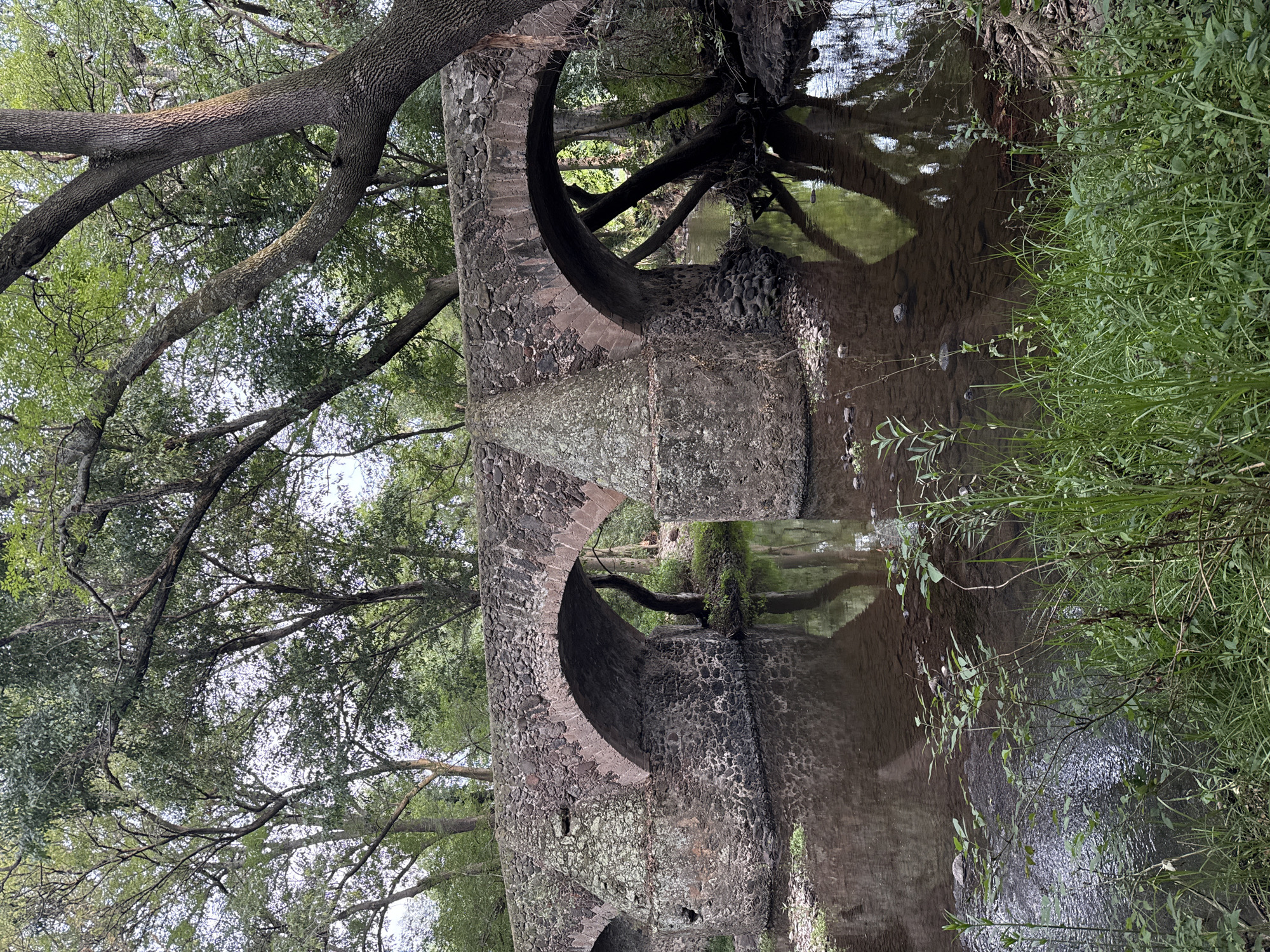 A stone aqueduct with two arches stands over a shallow stream, its reflection visible in the water. The structure is aged, with stones showing signs of wear and lichen growth. Trees and foliage surround the aqueduct, their branches reaching out over the stream. The scene is set in a natural environment, likely in the city of Santiago Tlautla, Mexico, as specified. There are no people visible. The primary interaction is the aqueduct's structure with the natural environment.