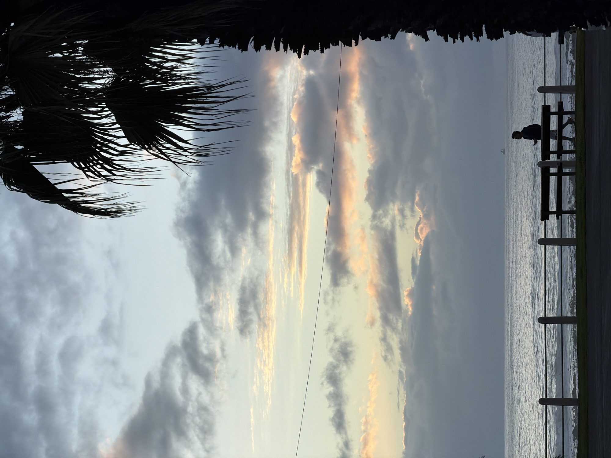 The image shows a waterfront scene in Cape Town, South Africa. A person is sitting on a bench facing the ocean. There's a railing between the bench and the water. Palm trees frame the left side and top of the shot. The sky is filled with clouds, tinged with light from the setting sun. Power lines stretch across the sky. The overall scene suggests a tranquil evening at the beach.