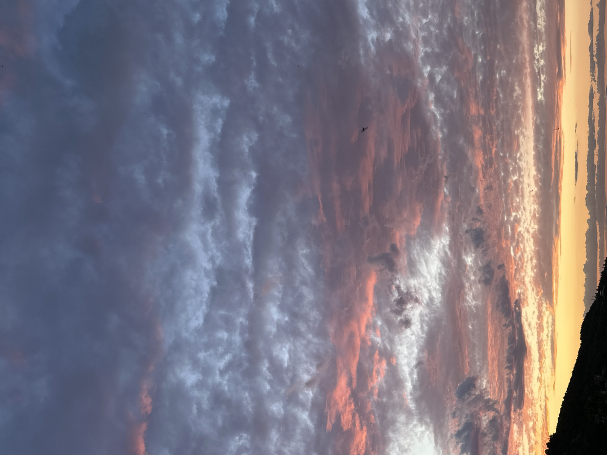 The image depicts a sunset over Asenovgrad, Bulgaria. The sky is filled with a dramatic display of clouds, ranging in color from deep blues and grays to vibrant pinks and oranges, illuminated by the setting sun. The lower portion of the image features a dark silhouette of a hillside with some vegetation, characteristic of the natural landscape surrounding the city. A few distant birds are visible in the sky. The scene is serene and captures the natural beauty of the area at dusk.