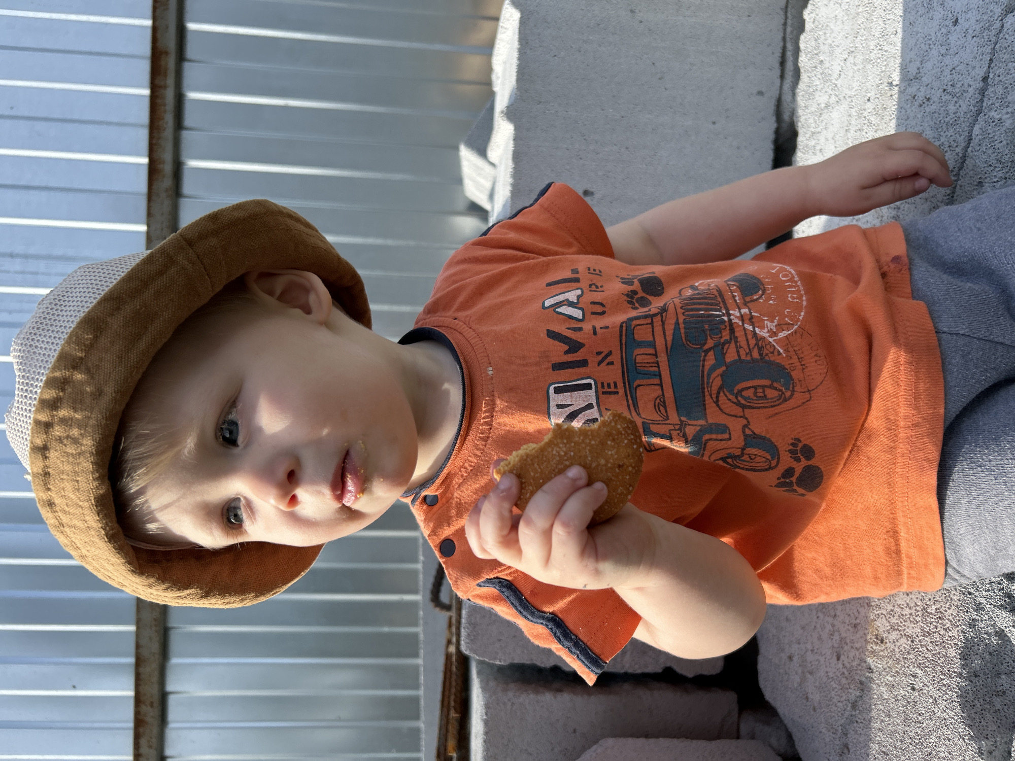 In this medium shot, a young child, likely a toddler, is the sole human subject, wearing a light-colored mesh hat with a brown brim and an orange t-shirt. The child's face, partially obscured by the hat, is turned towards the camera, and they are holding a piece of food, possibly a cookie or bread, in their right hand, bringing it towards their mouth. There are crumbs visible around their lips, suggesting they are in the process of eating.
The background consists of a corrugated metal fence on the left and rough, light-colored concrete blocks or stones on the right. The lighting suggests it is daytime, with sunlight casting shadows. The scene appears to be outdoors, possibly in a construction area or a place with building materials.
The orange t-shirt has a graphic print featuring a truck or vehicle with the word "ADVENTURE" in large, stylized letters, along with paw prints and other decorative elements. The overall tone of the image is casual and candid, capturing a moment of a child enjoying a snack. The child's expression is neutral or slightly curious.
There is no explicit indication of weather conditions beyond the presence of sunlight. The location context provided is Chaikovsky, Russia, which is not directly discernible from the visual elements in the image itself.