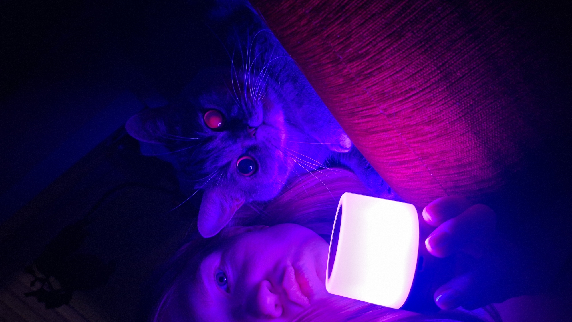 This image presents a low-angle view looking up at a person and a cat in a darkly lit indoor environment, likely at night. The scene is dramatically illuminated by artificial light, predominantly in vivid purple and pink tones, suggesting the use of colored lights or a blacklight.
In the upper central portion of the frame, a grey-furred domestic cat is positioned, looking directly at the camera. Its eyes display a pronounced red-eye effect, appearing as intense orange-red circles with dark pupils, a common phenomenon in low-light photography. Its whiskers are clearly visible, extending into the purple glow.
Below the cat, the face of a person, likely female, is partially visible, also looking upwards. The person's skin and hair are bathed in the same purple and pink light. Their hand, similarly illuminated, holds a glowing white, rectangular lamp or light source, which emits the brightest light in the image.
The upper right section of the frame features a textured surface, possibly an armrest or cushion of a sofa, rendered in a striking magenta and pink by the unique lighting. The rest of the background is obscured in deep blue and black shadows, emphasizing the darkness of the room. The overall impression is one of curiosity and intimacy between the pet and owner, captured under an unusual, artistic lighting scheme. No text is visible. The image is set in Chaikovsky, Russia.