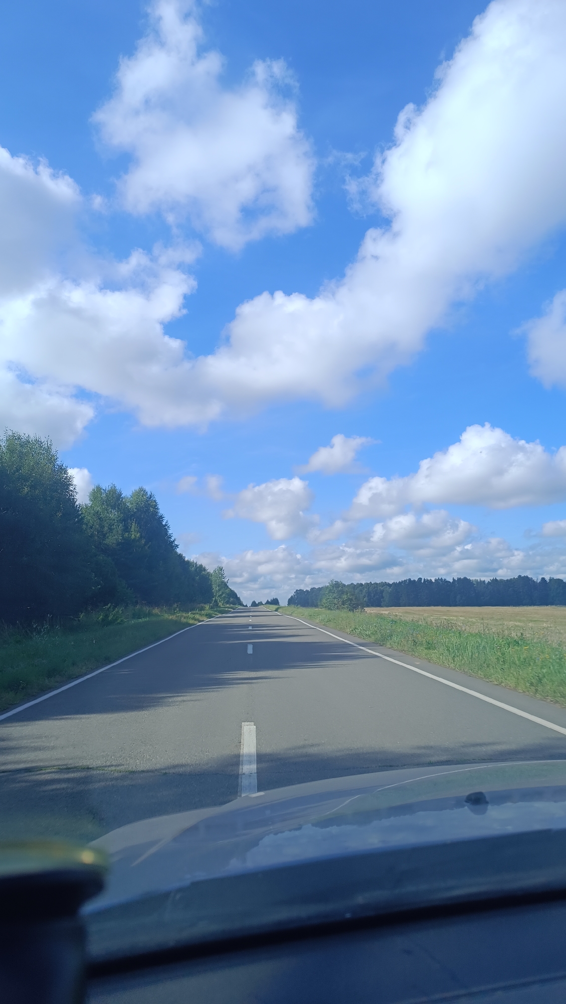 An asphalt road stretches into the distance under a bright blue sky dotted with fluffy white clouds. The road is lined with a green verge on either side, with a dense line of trees on the left and a field of dry grass or crops on the right. The road has a broken white line marking its center and a solid white line along its edges. The view is from the perspective of someone inside a vehicle, with the hood and part of the windshield visible in the foreground. The scene is consistent with a rural or semi-rural landscape in the city of Chumna, Russia, during daylight hours.