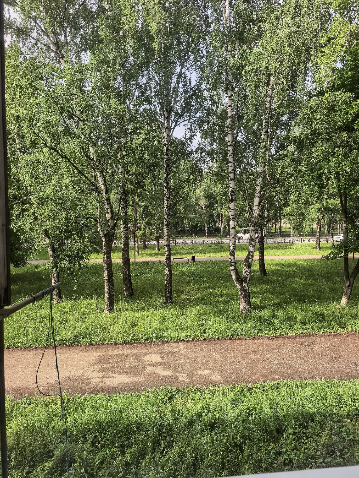 The image captures an outdoor scene, likely viewed from a window or balcony, showcasing a vibrant green park or urban green space. The primary subjects are numerous birch trees, characterized by their distinctive white and black bark and lush, green foliage that fills the upper half of the frame. Sunlight filters through the leaves, casting bright highlights and subtle shadows on the ground.
A reddish-brown dirt or gravel pathway runs horizontally across the mid-ground, separating two expanses of bright green grass. In the background, beyond the pathway and trees, a black metal fence is visible, bordering a paved road. A white minivan can be seen driving on this road, with another lighter vehicle further in the distance.
In the foreground, on the bottom left, a thin black or dark green cable or rope hangs downwards, partially obscuring the view. The edges of a window frame or balcony railing are also visible on the left and bottom, indicating the vantage point.
The scene depicts a sunny day, likely morning or afternoon, given the bright illumination and clear skies. The overall impression is one of tranquility and natural beauty within an urban setting. No specific human activity is taking place, and no discernible text is visible in the image. The abundance of birch trees aligns with the provided location context of Sterlitamak, Russia.