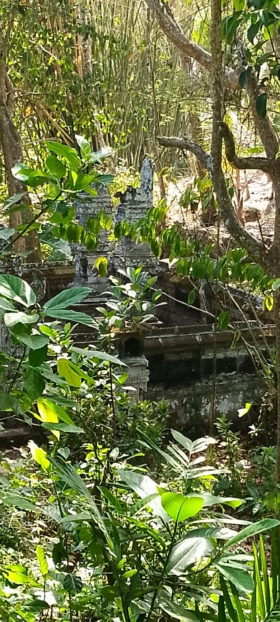 The image depicts an overgrown, ancient stone structure, possibly a temple ruin, situated in Pekutatan, Indonesia. The structure, made of weathered gray stone, features intricate carvings and tiered architecture, partially obscured by lush green foliage. Sunlight filters through the dense canopy of trees and bamboo, casting dappled shadows on the scene, creating an atmosphere of age and mystery. The surrounding environment is a verdant jungle, with a variety of plants and trees contributing to the sense of a forgotten place. No people are visible in the image.