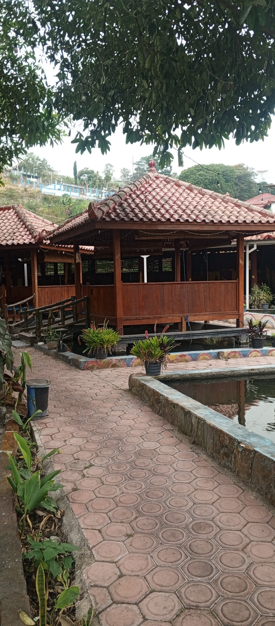 The image shows a view of several wooden gazebos with tiled roofs, a paved walkway, and a pond. The gazebos appear to be built over the water. The walkway is made of hexagonal pavers in a reddish-brown color. There are potted plants strategically placed along the walkway and the edge of the pond. In the background, there is a hillside with some buildings and trees. The overall scene suggests an outdoor recreational area, possibly a restaurant or a park. The location is identified as Plaosan, Indonesia. There are no people visible in the image. The environment is outdoors and appears to be a sunny day, with lush green foliage from trees overhead.