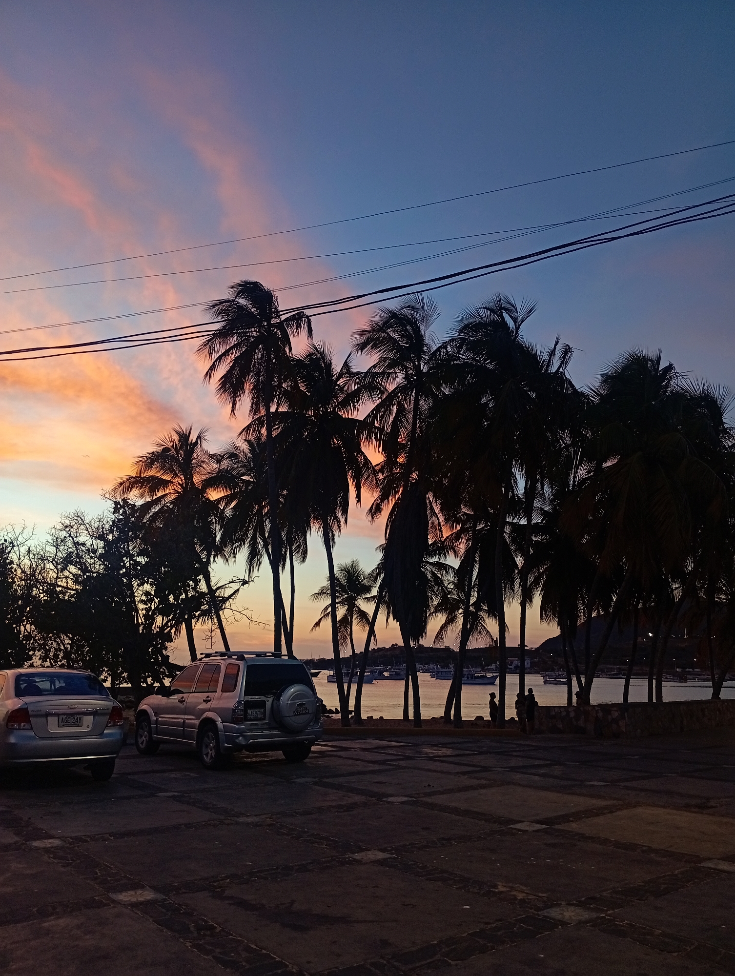 The image shows a twilight scene in Juan Griego, Venezuela. The sky transitions from orange and pink near the horizon to a deep blue overhead. Silhouetted palm trees dominate the midground, obscuring the view of the bay and boats. Several people are visible along the waterfront. In the foreground, two parked cars, a silver sedan and a silver SUV, sit on a paved surface marked with dark, patterned squares. Overhead power lines are strung across the sky.