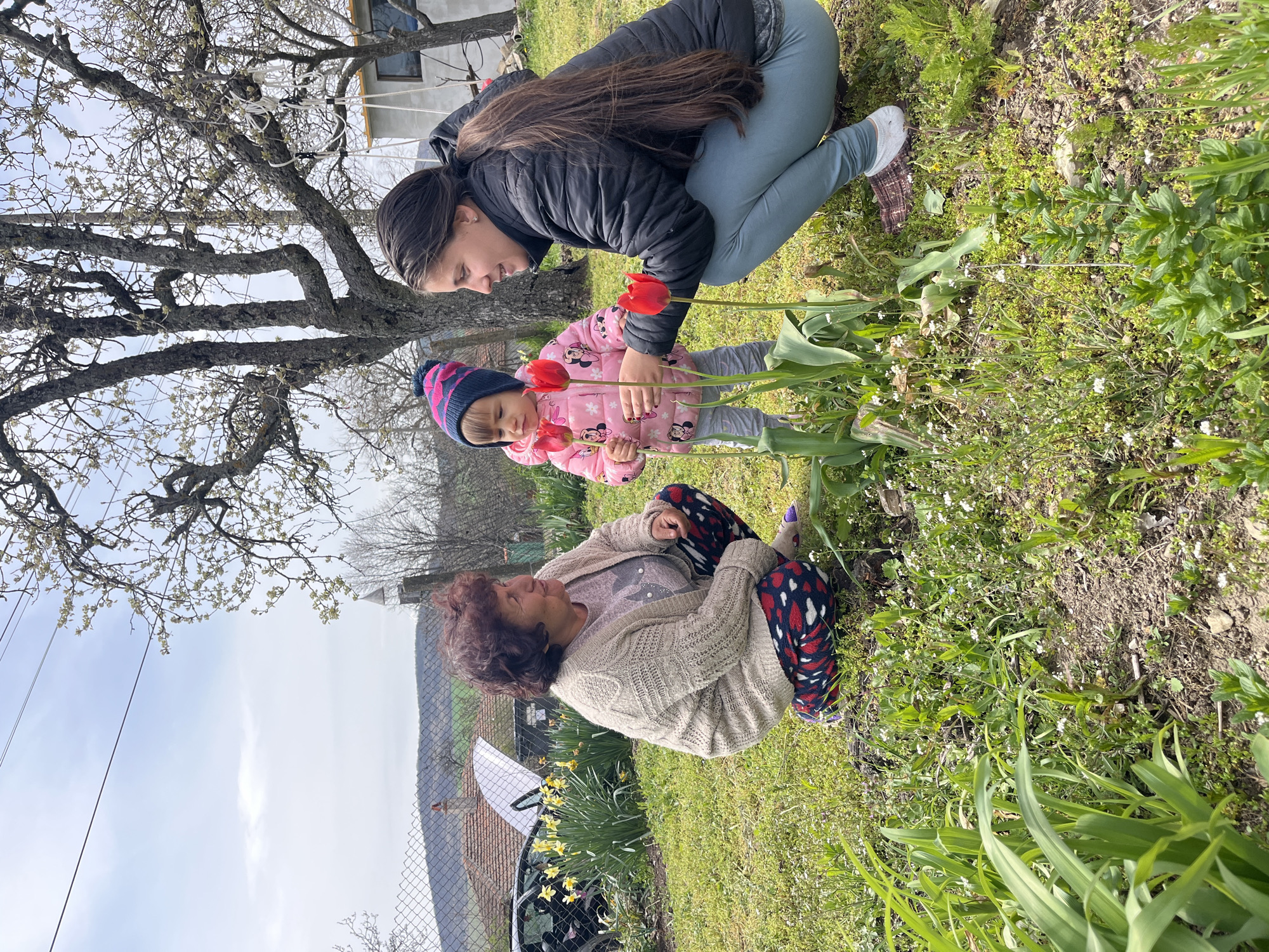 The image depicts three people in a grassy outdoor setting with a tree. An adult woman with long dark hair and wearing a black jacket and light blue pants is crouched near a small child in a pink jacket and blue hat. The child is standing among red tulips. An older woman with reddish-brown hair, wearing a light-colored cardigan and patterned pants, is sitting cross-legged nearby. The location includes a chain-link fence, a vehicle, and a landscape with a hill in the background. The environment suggests a yard or garden. The location of the image is Kosten, Bulgaria.
