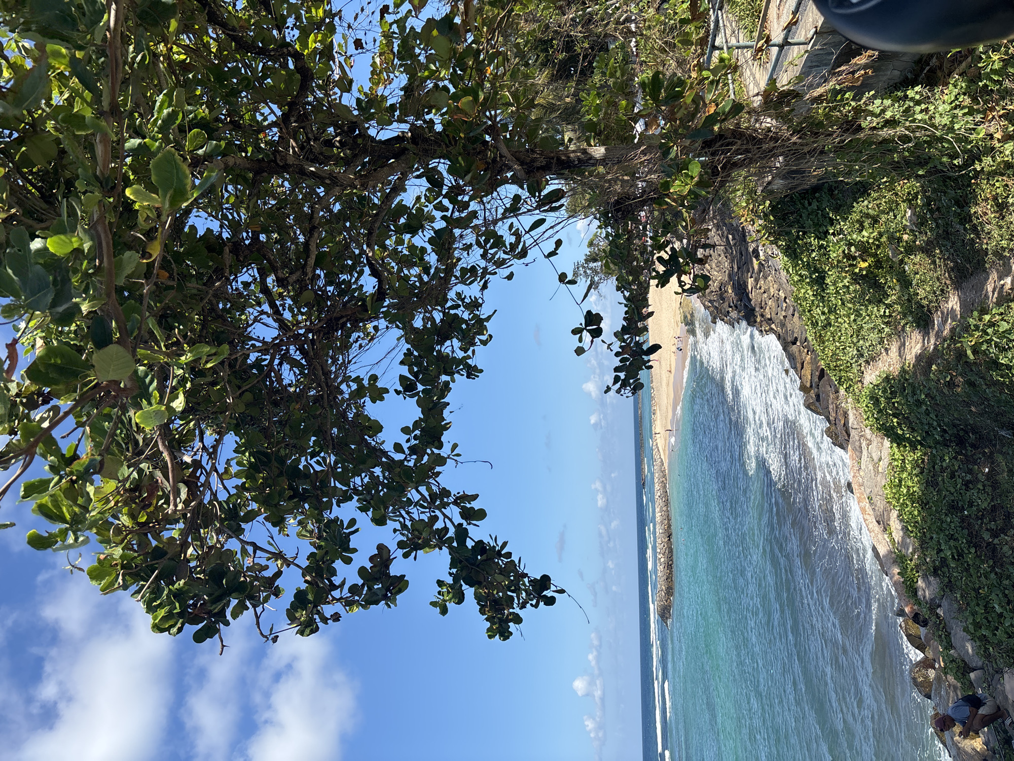 A vibrant, sun-drenched coastal scene unfolds under a bright blue sky dotted with scattered white clouds. In the foreground, a large tree with lush green leaves and gnarled branches extends over the image, partially obscuring the view. The branches are densely packed with leaves, casting dappled shadows. Below the tree, a rocky embankment covered in vibrant green vegetation slopes down towards the sea. A narrow dirt path winds its way along the embankment.
The middle ground features a picturesque beach with golden sand, bordered by the turquoise waters of the ocean. Gentle waves crash onto the shore, creating white foamy patterns. A long, curved breakwater, constructed from large stones, juts out into the sea, creating a calmer swimming area. Several small figures can be seen on the beach, and a few people are in the water.
In the far left foreground, a person is crouched on the rocks, facing away from the camera, appearing to be engaged in some activity. The overall environment is a tropical coastal landscape, likely a beach or a cliffside overlooking a beach, characterized by the presence of the ocean, sand, vegetation, and a breakwater. The image captures a tranquil day at the seaside. This image is not located in Kuta Selatan, Indonesia.