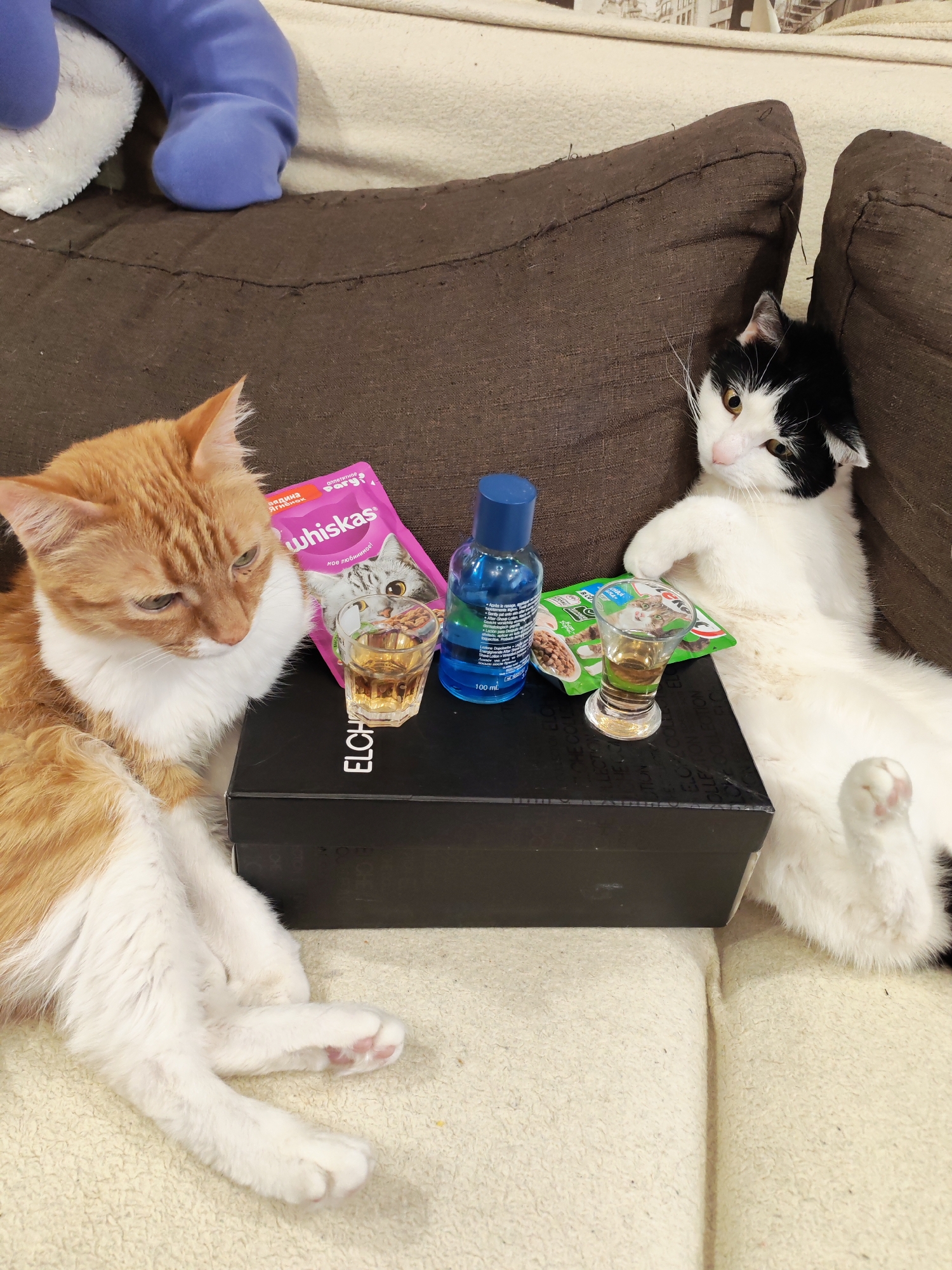 Two cats are lounging on a brown sofa. An orange and white cat is on the left and a black and white cat is on the right. Between them, there's a black box functioning as a table, upon which are two shot glasses filled with amber liquid, a blue bottle labeled "100 ml," and two pouches of Whiskas cat food, one pink and one green. The location is likely inside a residence. The pink Whiskas packet features a label with the text "аппетитное" and "whiskas" and "Ягненок." The green Whiskas label is partially obscured but contains similar branding. The context indicates a humorous or staged scene, possibly involving pets. The city is Chaikovsky, Russia, as indicated by the Cyrillic script on the packaging.