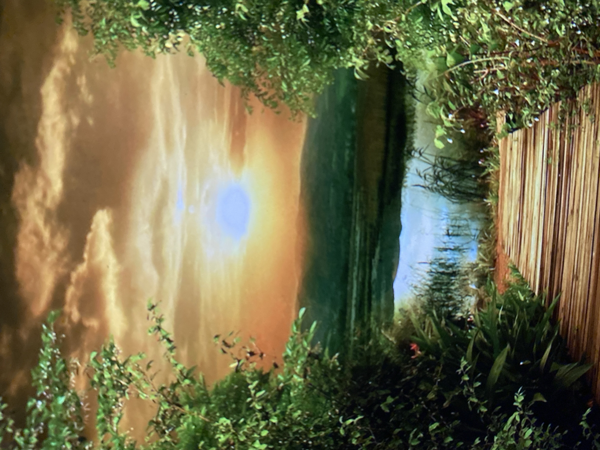 The image depicts a serene natural landscape. In the foreground, a wooden boardwalk extends into the scene, flanked by lush green foliage. Beyond the boardwalk, a body of water reflects the sky. Reeds and tall grasses grow along the water's edge. In the middle ground, rolling hills are visible, silhouetted against a dramatic sky. The sky is filled with warm, glowing clouds, with a bright sun radiating a soft light. The overall impression is one of tranquility and natural beauty.
