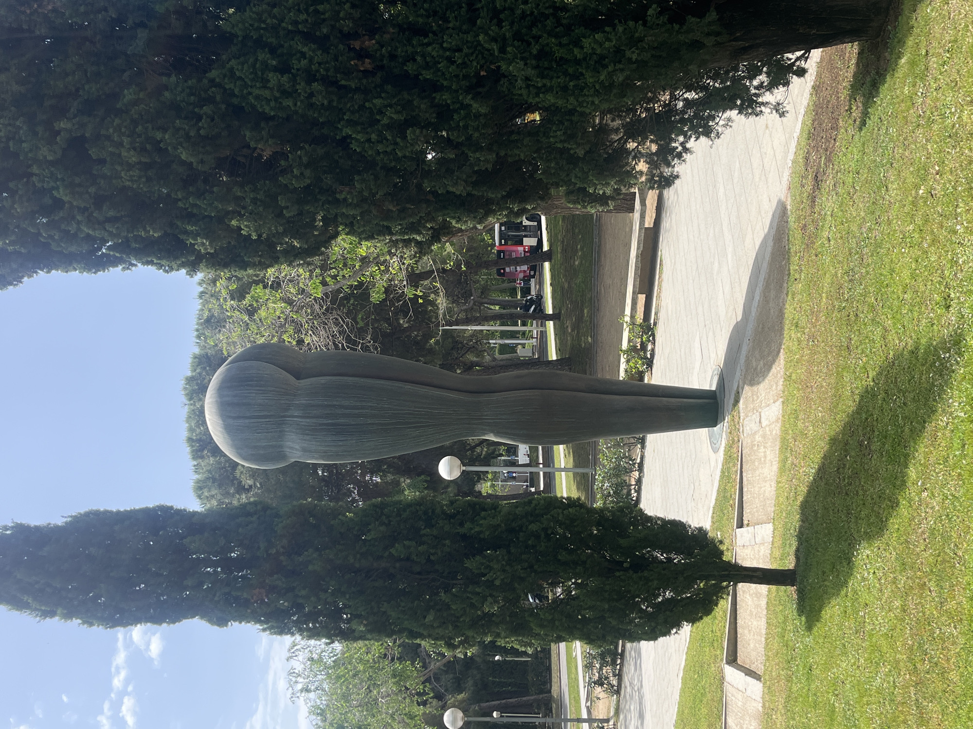 This image displays a large, abstract bronze-colored sculpture of a standing female figure situated in a park or garden, likely in Barcelona, Spain. The sculpture is characterized by its slender, elongated form, prominent, rounded buttocks, and horizontal ridging across its surface, giving it a distinctive texture and appearance.
The scene is captured on a bright, sunny day under a clear blue sky with a few wispy white clouds. The sculpture stands on a paved pathway, flanked by well-maintained green grass on one side. Tall, dark green evergreen trees, possibly cypress trees, line the path and frame the sculpture, creating a natural, verdant setting. Their foliage provides a shaded canopy and frames the view.
In the mid-ground and background, partially obscured by the trees, spherical white street lamps are visible along the pathway. Further in the background, a white and red bus can be seen, indicating the proximity of a road or urban area. Strong, defined shadows are cast on the ground, suggesting the sun is high in the sky, consistent with midday or early afternoon. No prominent people are visible, and there is no discernible text in the image. The focus remains on the striking sculpture within its serene, green environment.