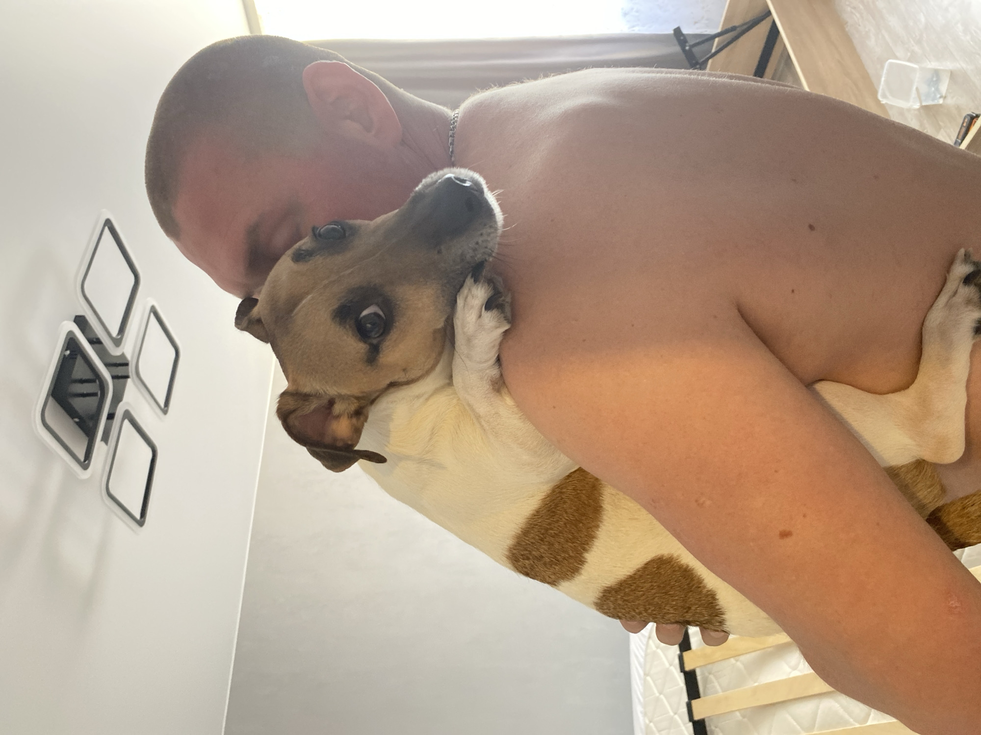 A close-up shot shows a bald man embracing a dog. The man has fair skin and is wearing a chain necklace. The dog is light brown and white with brown spots. They are indoors, with a white wall featuring diamond-shaped light fixtures visible in the background. The scene also includes glimpses of furniture. There is no explicit evidence to suggest the location is Noviy, Russia.