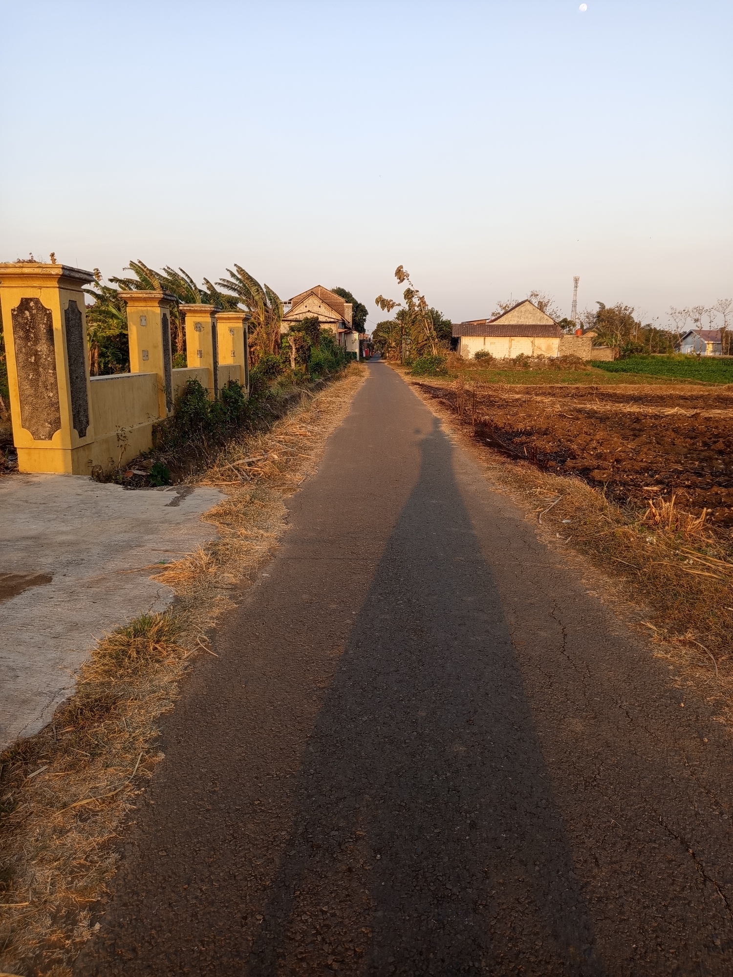 The image captures a rural road in Ngablak, Indonesia, bathed in the warm light of what appears to be either sunrise or sunset. The road, paved with asphalt and showing signs of wear with visible cracks, stretches into the distance, flanked by dry, straw-like grass on the right and a concrete path leading to a decorative yellow wall with multiple pillars on the left. Beyond the wall, lush green banana trees are visible. In the mid-ground and background, residential structures with light-colored walls and tiled roofs are scattered amidst trees and vegetation. A tilled field, appearing dark brown and somewhat barren, is situated to the right of the road. The sky is a clear, pale blue, with a faint, almost imperceptible moon visible near the top center. A long shadow of what is likely the photographer stretches across the road, indicating the direction of the light source. The scene conveys a sense of tranquility and rural life in Indonesia.