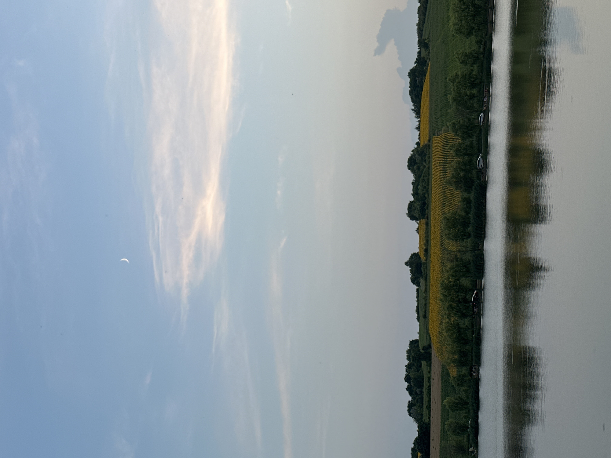 The image shows a body of water in the foreground, reflecting the sky and the landscape beyond. The sky is a pale blue with wispy clouds and a crescent moon visible in the upper left quadrant. The middle ground features a rolling hill covered in fields of sunflowers and green crops. Trees line the edge of the water, and several cars are parked along the shore. In the distance, more trees and undulating terrain are visible. The overall scene is peaceful and depicts a rural or semi-rural environment. The image is taken in Găleștii Noi, Moldova.