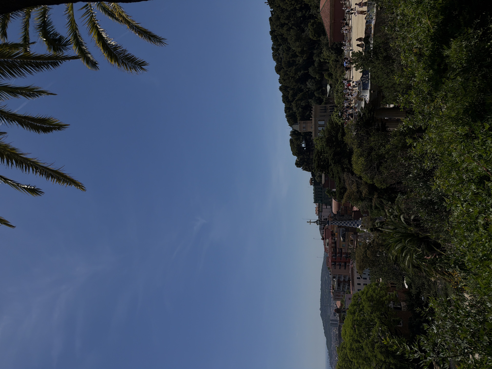 The image shows an elevated view, likely from Park Güell, in Barcelona, Spain, on a sunny day. The sky is clear blue, dominating the left side of the frame, with palm tree fronds visible in the upper left corner. On the right side, the landscape slopes down, featuring lush green trees and vegetation. In the middle ground, there are buildings and structures interspersed among the trees. A viewing area at the top right shows people gathered. In the distance, there are buildings, structures, and glimpses of the city extending towards the horizon.