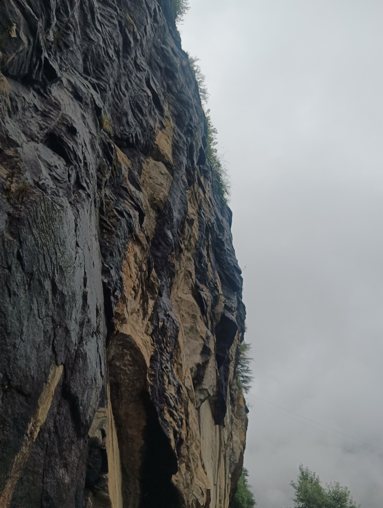 The image shows a close-up, low-angle view of a steep, dark, and wet rock face. The rock has a rough texture with visible layers and crevices. Patches of lighter brown and tan rock are interspersed with darker, almost black areas, suggesting varying mineral composition and the presence of water. Small green plants and foliage are visible growing precariously from cracks near the top and along the edges of the rock face. The sky is overcast and a uniform pale gray, with no discernible features. A thin, dark line, possibly a wire or cable, is faintly visible stretching across the sky in the distance. The overall impression is of a natural, rugged landscape under a cloudy sky, potentially in a mountainous region. Given the request for a location in Manali, India, this scene could depict a cliffside or rock formation in the surrounding Himalayan foothills, which are known for their dramatic geological features and often experience monsoon rains, explaining the wet appearance of the rock.