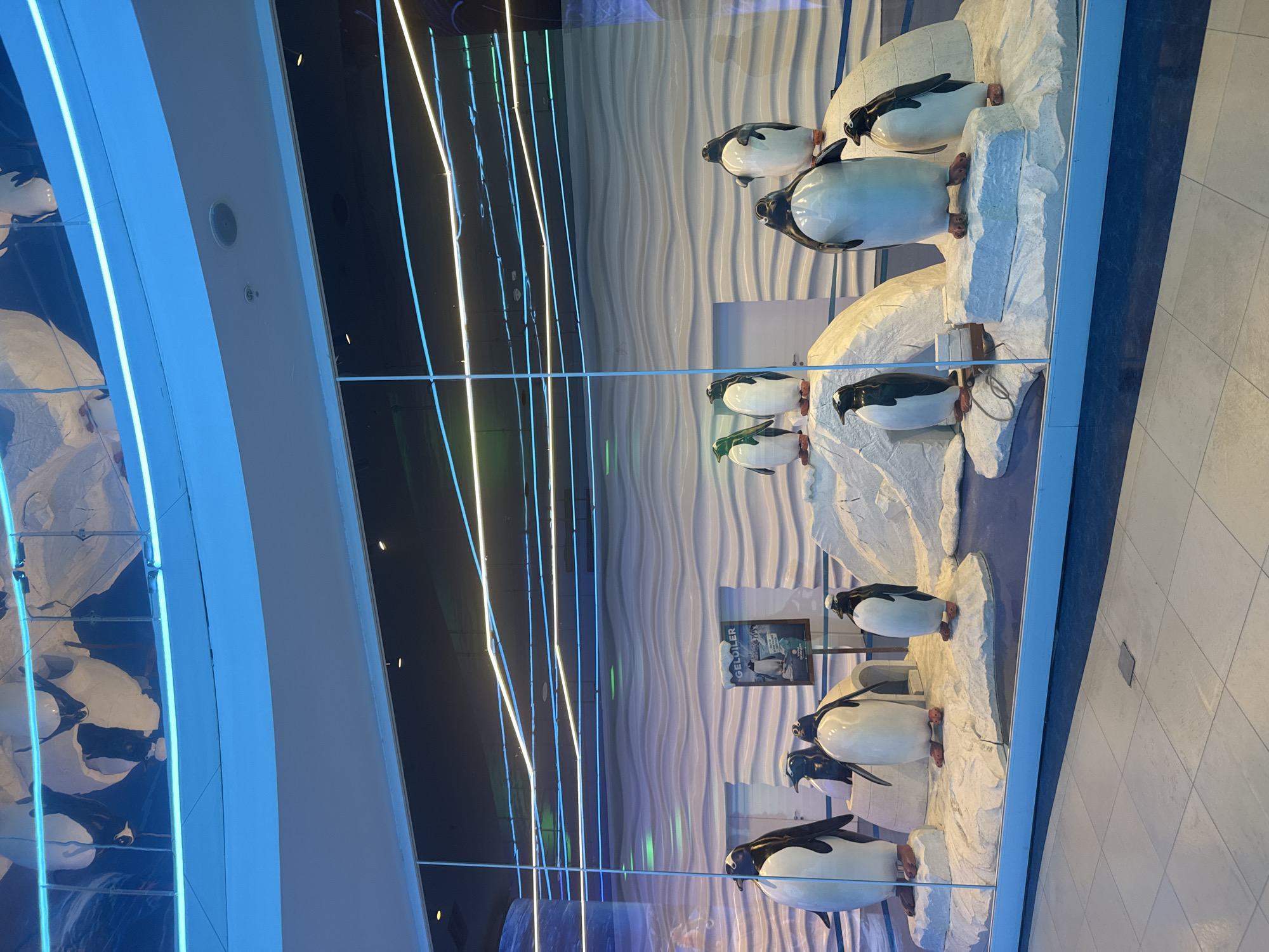 The image shows a display of penguin figures in a glass enclosure. The figures are arranged on artificial snow-covered mounds. The background behind the figures features a wall with a wavy pattern. To the left of the display, there is a wall with blue lighting. The location of the image is in Bakırköy, Turkey.