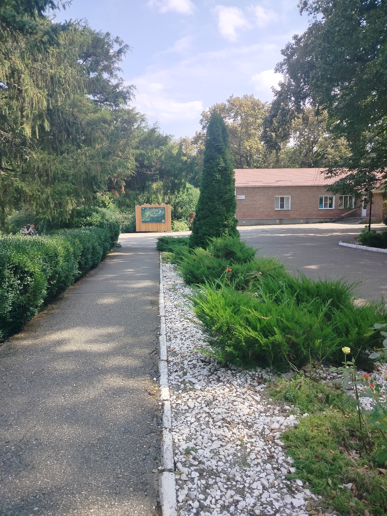The image depicts a paved walkway curving to the left, bordered by a meticulously trimmed green hedge on the left and a bed of white gravel and low green shrubs on the right. A tall, conical evergreen tree stands prominently in the gravel bed, accompanied by scattered red and yellow flowers. In the background, a single-story brick building with a red tile roof is visible, featuring several windows. Behind the building, a dense canopy of various trees forms the backdrop. To the left of the walkway, further trees with feathery foliage are present. A wooden information board with a map or display is positioned in the mid-ground. The overall scene suggests an outdoor public space, possibly a park or a municipal building grounds, with well-maintained landscaping. The location is identified as Krasnyi Most, Russia.