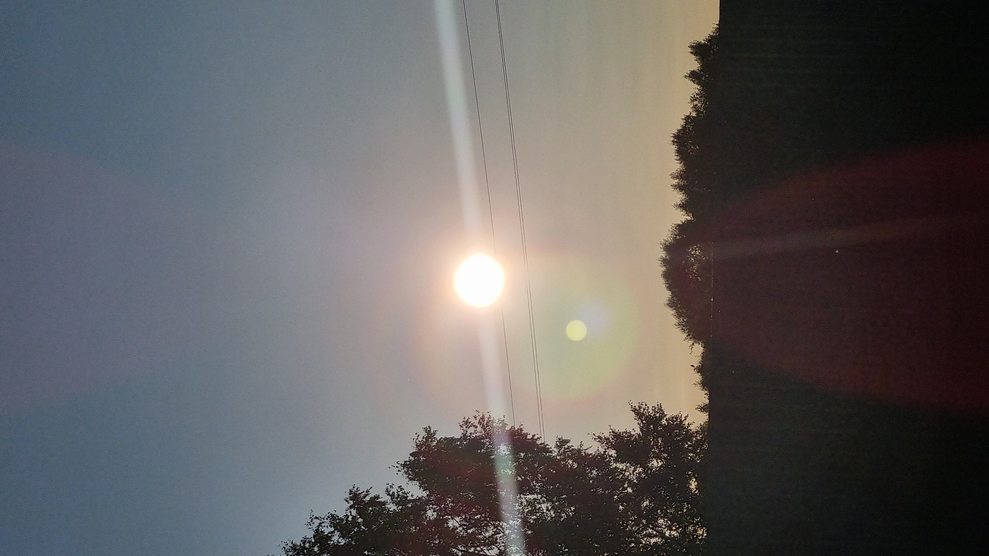 The image shows a dusky sky with the sun visible as a bright, slightly diffused orb. Two horizontal power lines are visible in the sky, one above and one below the sun. There are lens flares emanating from the sun, creating streaks of light and a smaller, ghostly circular reflection below it. On the left side of the image, the silhouette of a tree with foliage is visible. The horizon is lined with the dark silhouettes of trees. The lower portion of the image is dark, obscuring details of the ground. The scene is likely captured in the city of Vysokoe, Russia, given the provided context, and depicts an outdoor natural setting at dusk or dawn. No people are visible.