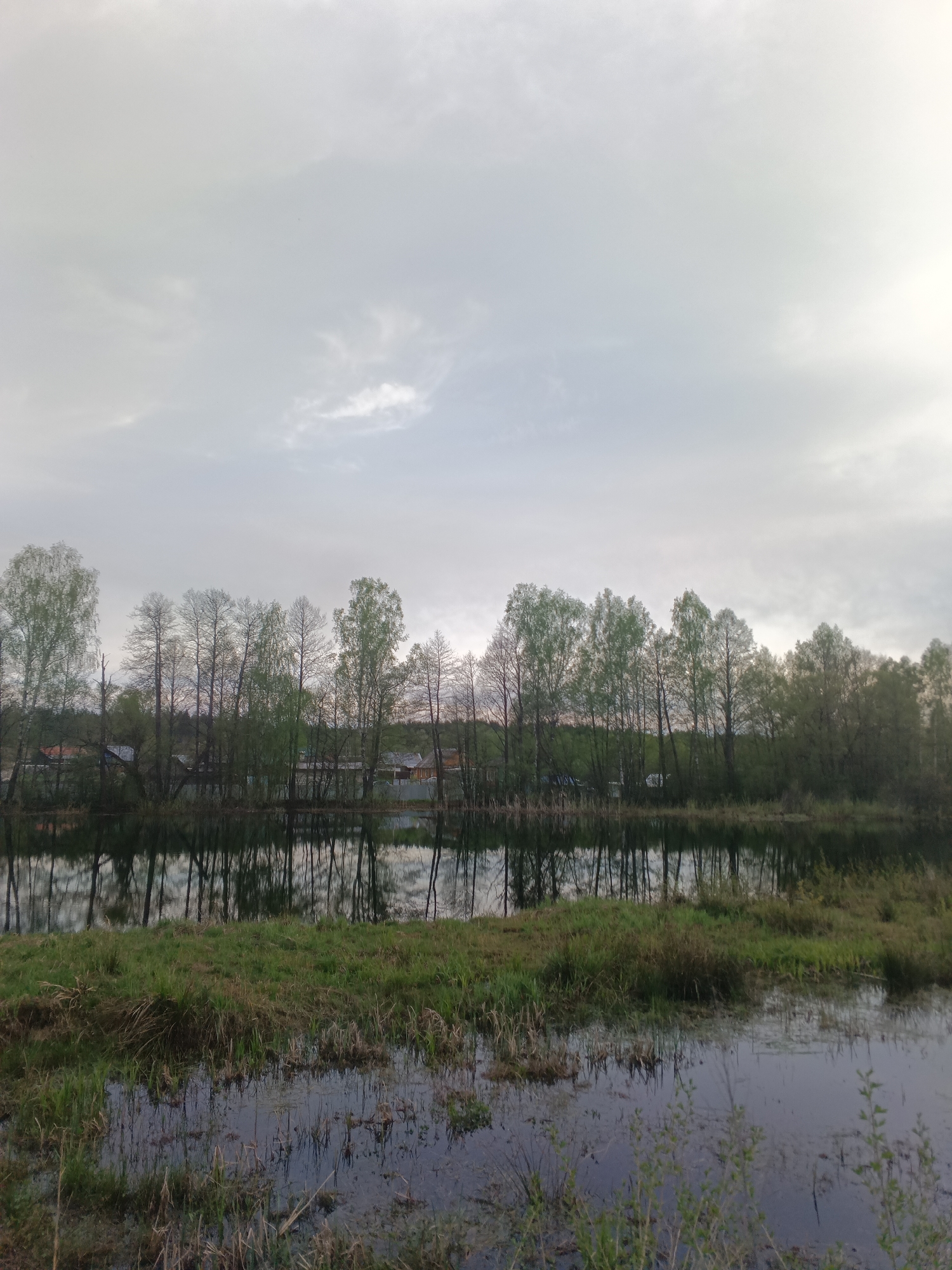The image depicts a still body of water, possibly a lake or a wide river, reflecting a line of trees along the opposite bank. The sky is overcast with gray clouds. In the background, there are glimpses of structures, likely houses or buildings, suggesting a settlement or village nearby. The foreground consists of grassy vegetation partially submerged in the water. The location is consistent with a natural environment in or near the city of Красный Маяк, Russia. There are no people visible in the image.