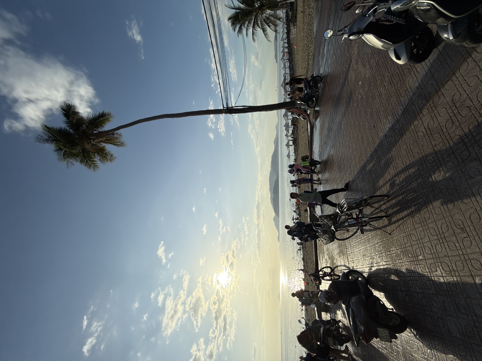 This image depicts a scene on a paved promenade adjacent to a beach in Nha Trang, Vietnam, likely during late afternoon given the low angle of the sun and the long shadows cast by objects and people. The sky is a clear blue with scattered white clouds, and the sun is visible as a bright orb low on the horizon over the ocean. The ocean is calm with gentle waves, and the beach is populated with numerous beach umbrellas, suggesting a public beach area.
On the promenade, several people are seen walking, standing, and interacting. Some individuals are dressed in casual attire, suitable for a beachside setting. A prominent tall palm tree stands on the right side of the image, extending towards the sky. Various modes of transportation are parked or in use, including several motorcycles and bicycles. The pavement is paved with decorative rectangular tiles.
In the background, across the ocean, a hilly coastline is visible, with more beach umbrellas dotted along the shore. Electrical wires are strung across poles in the upper right portion of the image. The overall atmosphere appears relaxed and social, indicative of a popular tourist or local gathering spot.