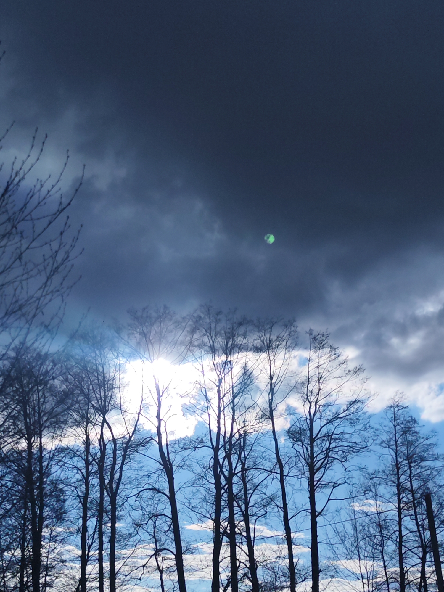The image presents a dramatic natural landscape featuring a canopy of bare trees silhouetted against a dynamic sky in Chaikovsky, Russia. Numerous deciduous trees, stripped of their leaves, extend their dark, intricate branches upwards, filling the lower and mid-sections of the frame.
A brilliant sun, almost blinding in its intensity, is partially obscured by clouds behind the trees in the lower-middle portion of the image. This backlighting creates a strong flare effect and illuminates the sky directly behind the trees with bright white and light blue hues, interspersed with soft white clouds. Above this luminous area, the sky transitions to heavy, dark gray and blue-gray storm clouds, dominating the upper half of the image and suggesting an overcast or impending weather event.
A distinct, glowing green circular shape, likely a lens flare or artifact from the sun's reflection, is visible within the dark cloud mass in the upper-central part of the sky. No people, animals, or man-made objects are visible, nor are there any discernable activities taking place. The bare branches of the trees indicate a colder season, such as late autumn, winter, or early spring. The scene captures a moment of striking contrast between powerful sunlight breaking through an otherwise dark and cloudy sky. There is no visible text.