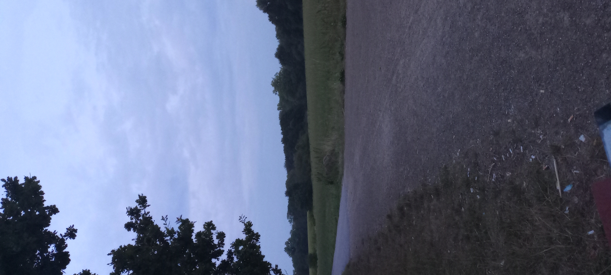 A vertical, medium-angle, full shot captures an overcast sky above a rural landscape at dusk. In the foreground, a gravel path runs diagonally from the lower left corner, widening as it extends into the mid-ground. To the left of the path, a patch of overgrown grass with scattered debris is visible. The mid-ground features a field of green grass, bordered by a dense line of trees forming a dark silhouette against the horizon. In the far upper left corner, the dark branches of a tree with leaves extend into the frame. The scene suggests a park or natural area within or on the outskirts of Dortmund, Germany, likely a walking or cycling path. There are no people or discernible actions depicted.