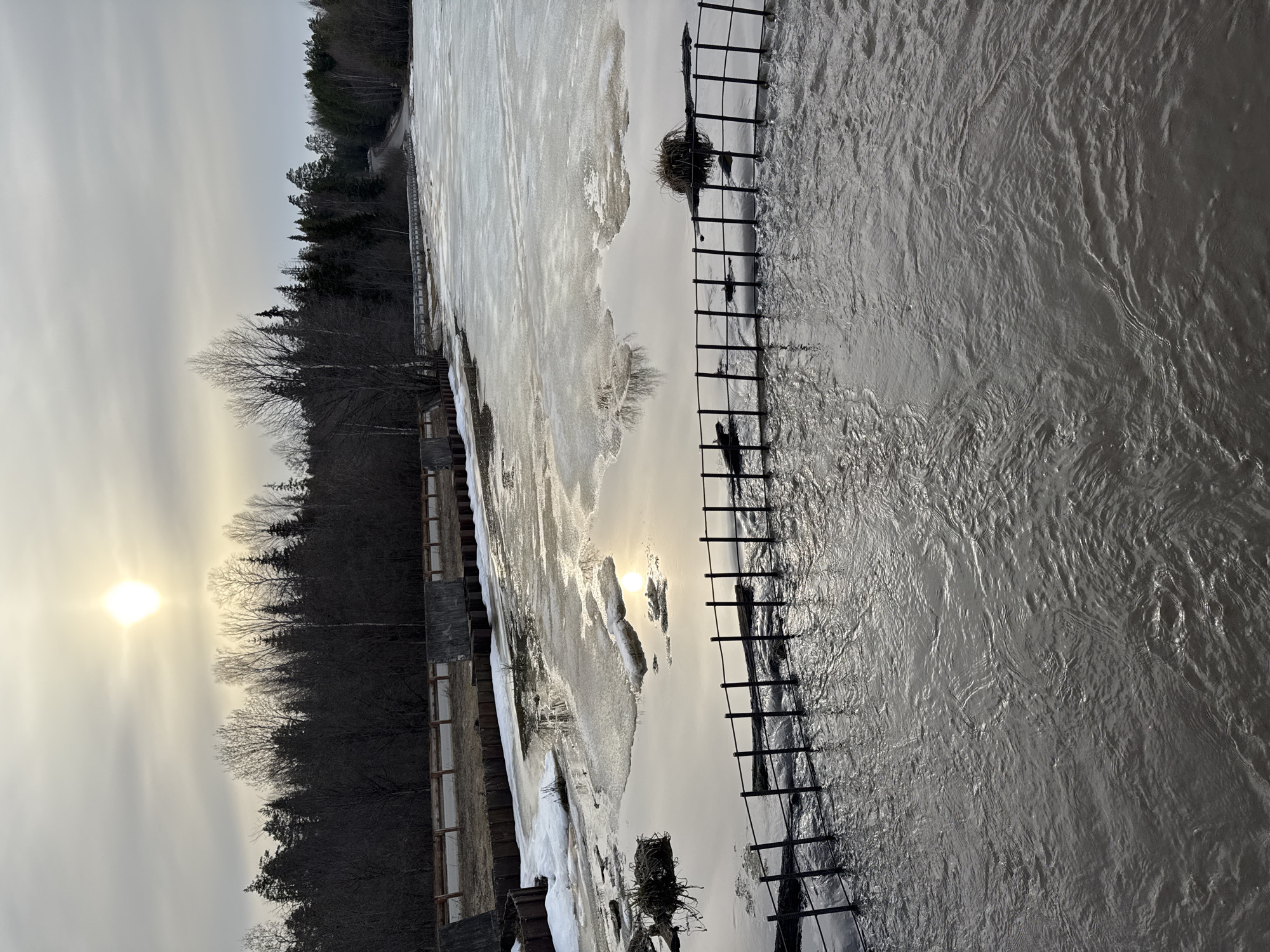 The image depicts a river in what may be early spring or late winter, with the sun low in the sky and visible through a thin cloud cover. Patches of ice and snow remain on the river's edge and within the flowing water. A dense forest line borders one side of the river, while a metal structure with regularly spaced vertical bars extends into the water from the opposite bank. An apparent bird's nest is perched on the metal structure. The water surface reflects the sunlight, creating a bright, shimmering effect. The overall scene suggests a cold climate and a natural environment impacted by melting ice. The specific location in Rusalevka, Russia is not visually confirmed in the image.