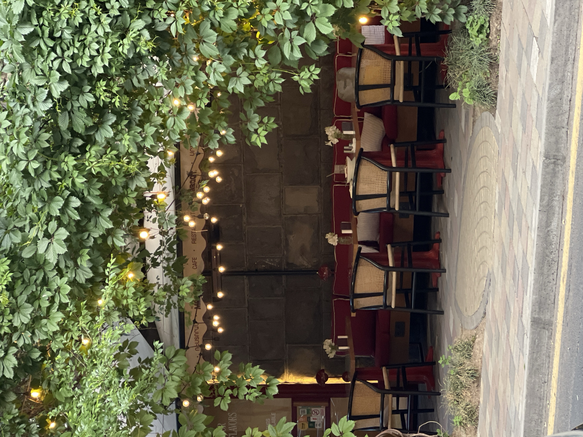 The image captures an inviting outdoor cafe or restaurant setting, oriented vertically with the street on the right. Lush green foliage, resembling ivy or a similar climbing plant, cascades from above and frames the scene on the left, with scattered string lights woven within its branches. These warm, glowing bulbs illuminate the area, suggesting an evening or nighttime ambiance.
The seating arrangement features several tables with deep red booth-style benches along a stone or brick wall, accompanied by individual chairs. These chairs have black frames and distinctive woven cane backs and seats. Small white floral arrangements are placed on the tables, adding a touch of elegance.
To the right of the seating area, a paved sidewalk with a circular design leads to a street marked with a yellow line. A small patch of wild grasses and sparse greenery separates the cafe patio from the sidewalk.
Visible text on signs partially obscured by foliage includes "CAFE" and "RESTAURANT" in English. Below "CAFE", Armenian script reading "ՌԵՍՏՈՐԱՆ" (Restaurant) and "ՄԵՆՅՈՒ" (Menu) is discernible. Other Armenian words like "ՀԱՄԵՄՆԵՐԻ" (Flavors) are also partly visible. A small sign with a "No Smoking" symbol can also be seen. The setting conveys a cozy and peaceful atmosphere, typical of an urban cafe in Yerevan, Armenia.
