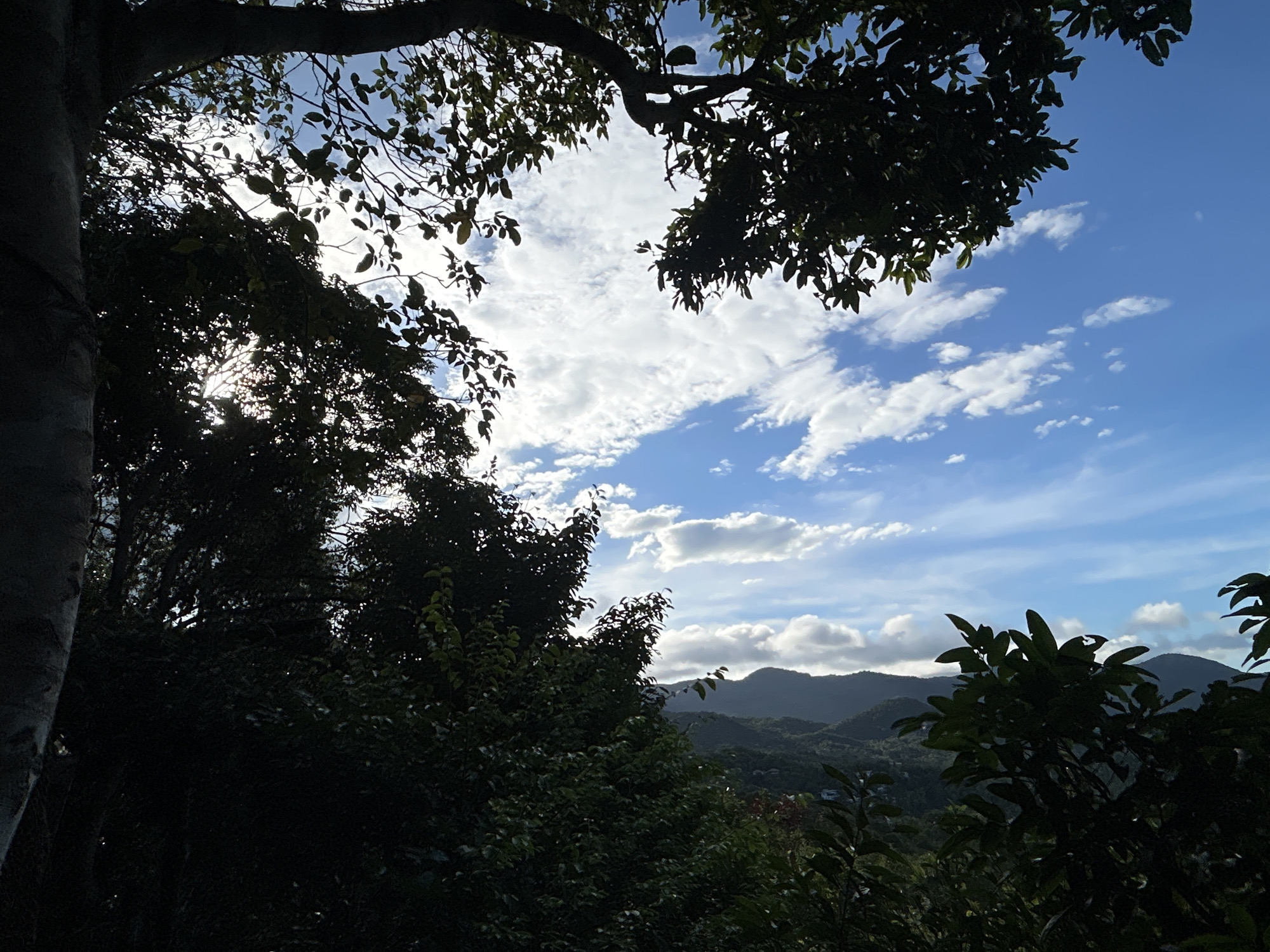 The image shows a view of rolling hills and a partly cloudy sky framed by trees and foliage. The scene appears to be taken from an elevated position. The sky is predominantly blue with scattered white clouds. The foreground is dominated by silhouetted trees, obscuring some of the view. The hills in the distance are lush green, suggesting a tropical or subtropical environment. The scene is ตำบลเกาะพะงัน, Thailand.