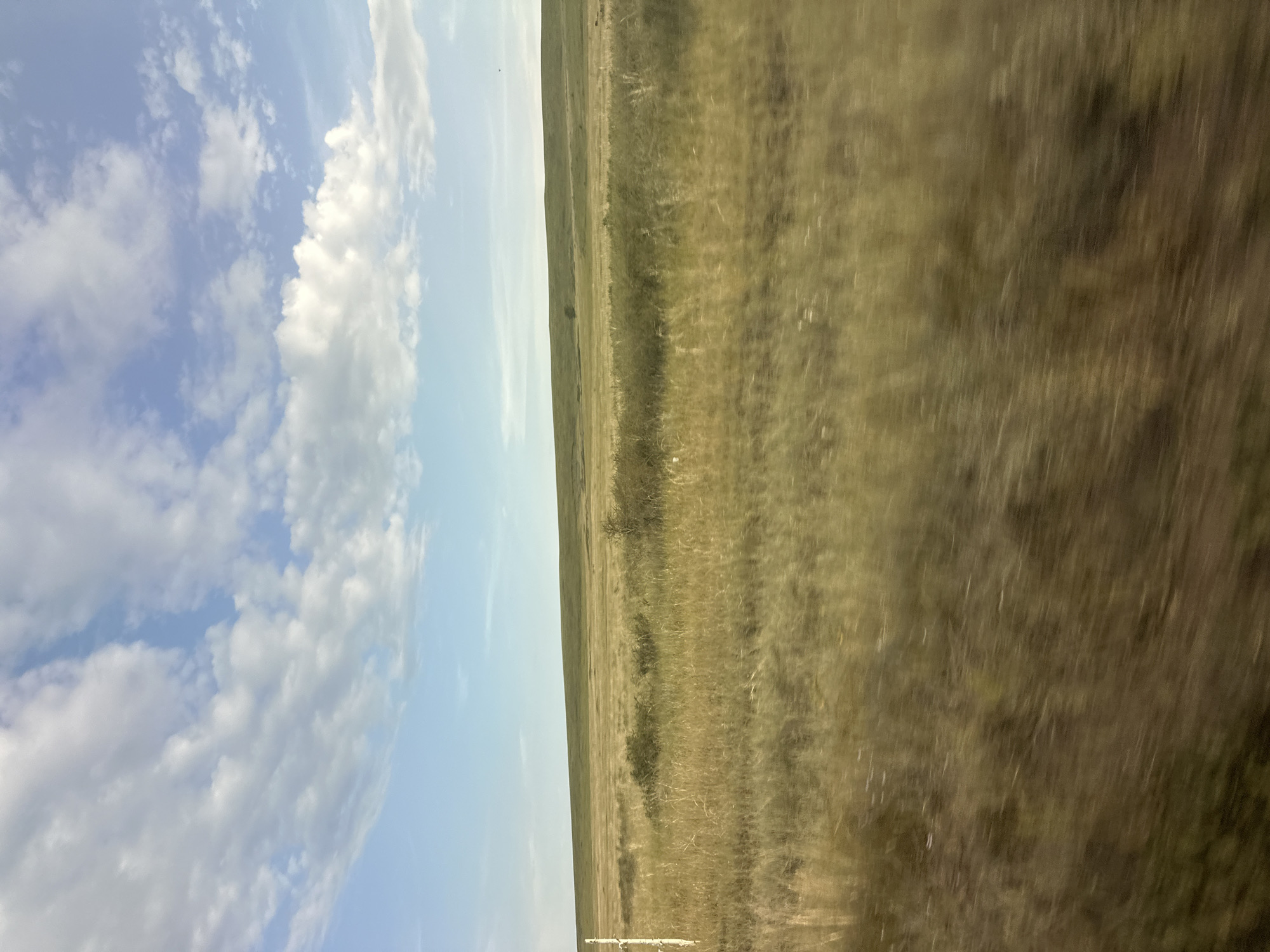This is a landscape image with a clear division between the sky and the ground. The sky occupies the left side of the frame and is a pale blue with scattered white clouds. The ground, which takes up the right side, is a vast expanse of dry, golden-brown grass, indicative of a steppe or prairie landscape. The grass appears to be in motion, suggesting the image was taken from a moving vehicle.
The scene is vast and open, with a sense of depth created by the distant horizon. The transition from sky to ground is a sharp, straight line, emphasizing the flatness of the terrain. There are no people or distinct man-made objects visible, except for a faint, blurry white element at the bottom edge of the frame that might be part of a vehicle. A few sparse, dark green bushes or small trees are scattered across the grassland, breaking the monotony of the dry grass.
The lighting suggests it is daytime, likely late morning or afternoon, given the brightness of the sky and the even illumination of the landscape. The weather appears to be fair, with clear skies and scattered clouds. The overall mood is one of openness and natural beauty, with a hint of motion and vastness. There is no visible text in the image.