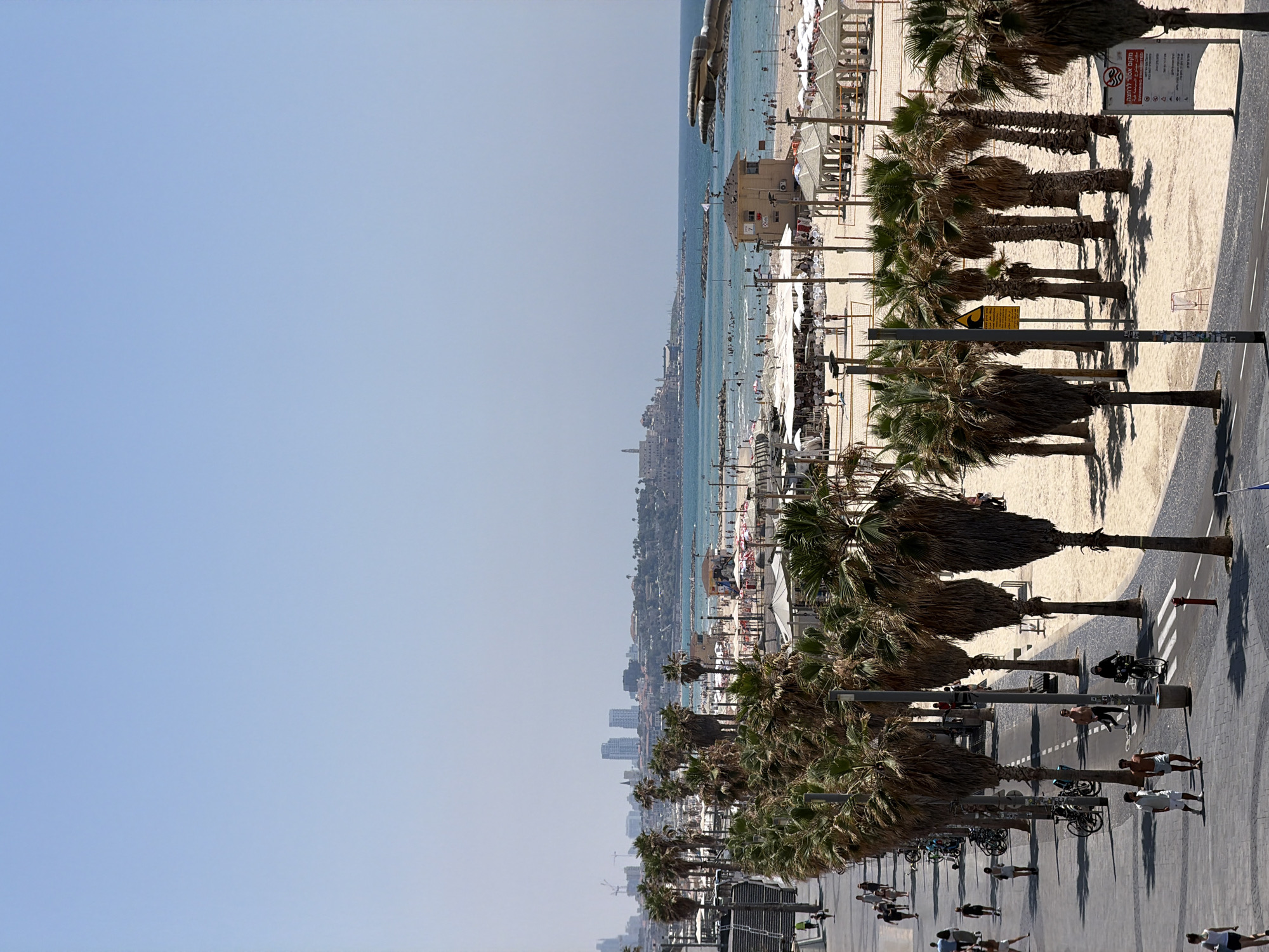 The image depicts a sun-drenched scene along the coast of Tel Aviv, Israel, likely on a warm day. In the foreground, a paved promenade runs alongside a sandy beach lined with numerous palm trees. People are visible walking, jogging, and cycling along the promenade. Several bicycles are parked or in motion. The beach itself is populated with sunbathers relaxing under umbrellas and canopies, while others are in the water, swimming or wading. A lifeguard station is situated on the sand, and various beach amenities, such as seating areas and volleyball nets, are present.
In the middle ground, the blue expanse of the Mediterranean Sea stretches out, dotted with distant swimmers. The coastline curves into the distance, revealing a cityscape with tall buildings and structures that identify the location as Tel Aviv. The skyline includes modern skyscrapers alongside older architectural styles, suggesting a blend of historical and contemporary development. The horizon is clear, with a pale blue sky dominating the upper portion of the frame. The overall impression is one of a vibrant coastal city enjoying a typical summer day.