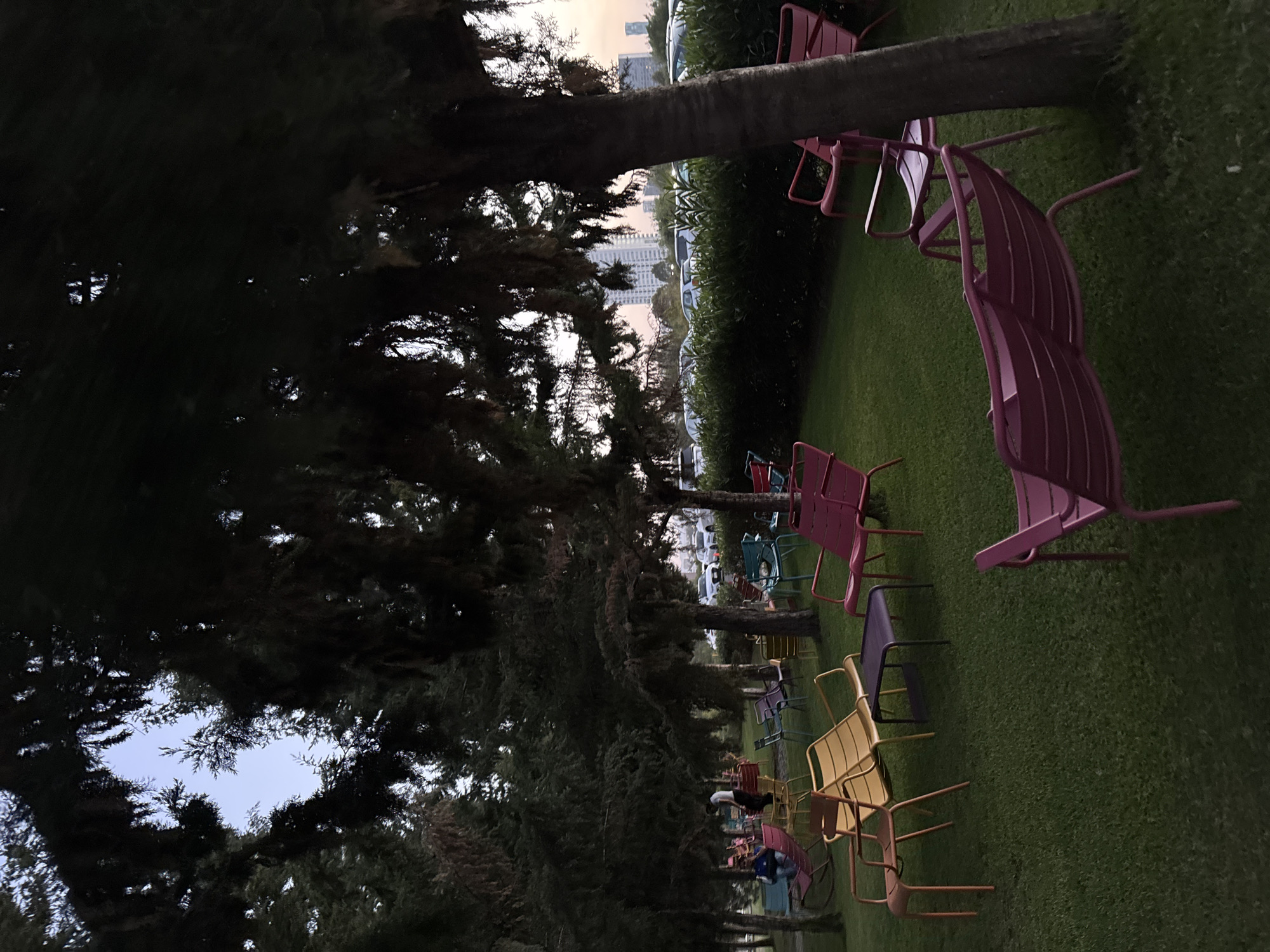 The image captures an outdoor leisure area, likely a park or garden, at dusk or early evening. The scene is dominated by a neatly manicured green lawn dotted with an array of brightly colored metal chairs. These chairs, in shades of pink, yellow, purple, orange, blue, and green, are arranged informally across the grass, suggesting a relaxed, inviting atmosphere for people to sit and socialize.
Along the left side of the frame, a dense line of tall, dark evergreen trees, possibly cypress or similar conifers, creates a natural boundary and casts long shadows, contributing to the dim lighting. A prominent tree trunk is visible in the mid-ground, horizontally bisecting a section of the image as the image is rotated. When oriented correctly, this trunk would run diagonally through the mid-ground.
In the background, through the gaps in the trees, a modern city skyline with several tall buildings is discernible against a soft, pale sky that hints at the twilight hour. Below the distant cityscape and behind a low hedge or row of bushes, a line of parked cars, predominantly white, can be seen, indicating an adjacent road or parking area. A few faint figures, appearing to be people, are visible among the chairs in the mid-to-background, suggesting light occupancy of the area. The overall lighting is low, with a diffused glow from the sky, indicating late afternoon or early evening, possibly just after sunset. The weather appears clear and calm. There is no visible text in the image. The setting suggests a tranquil urban escape, potentially in Puebla, Mexico, given the context.