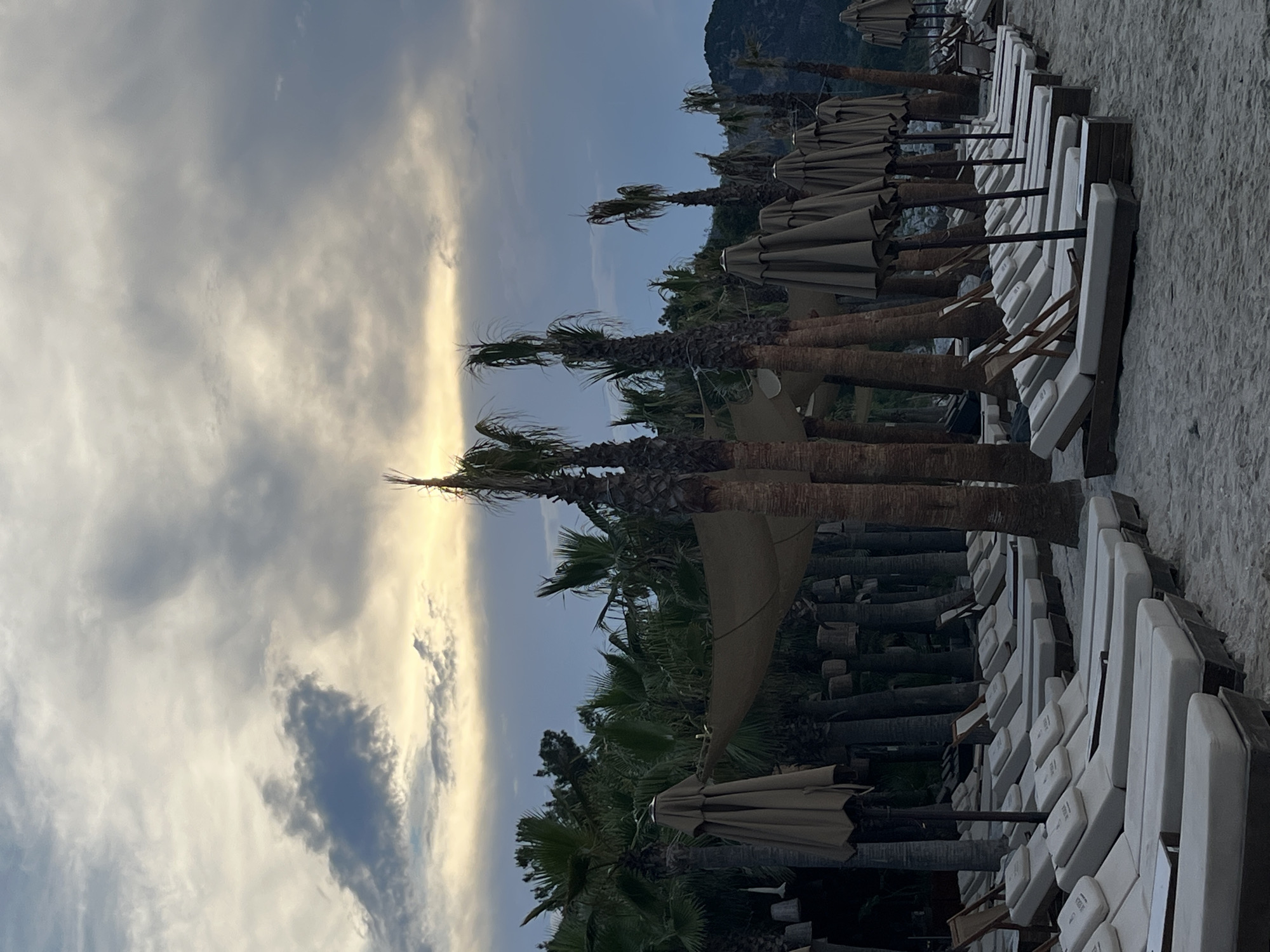 A serene beach scene unfolds in Thassos, Greece, under a cloudy sky tinged with the soft glow of sunset. Rows of empty, pristine white lounge chairs, some with accompanying umbrellas, are neatly arranged on the sandy shore, awaiting patrons. Towering palm trees, some weathered and others lush, stand sentinel, their fronds creating a tropical backdrop. In the distance, a mountainous landscape is silhouetted against the dusky sky, adding a sense of natural grandeur to the tranquil setting. The scene evokes a sense of peace and relaxation, characteristic of a Mediterranean getaway.