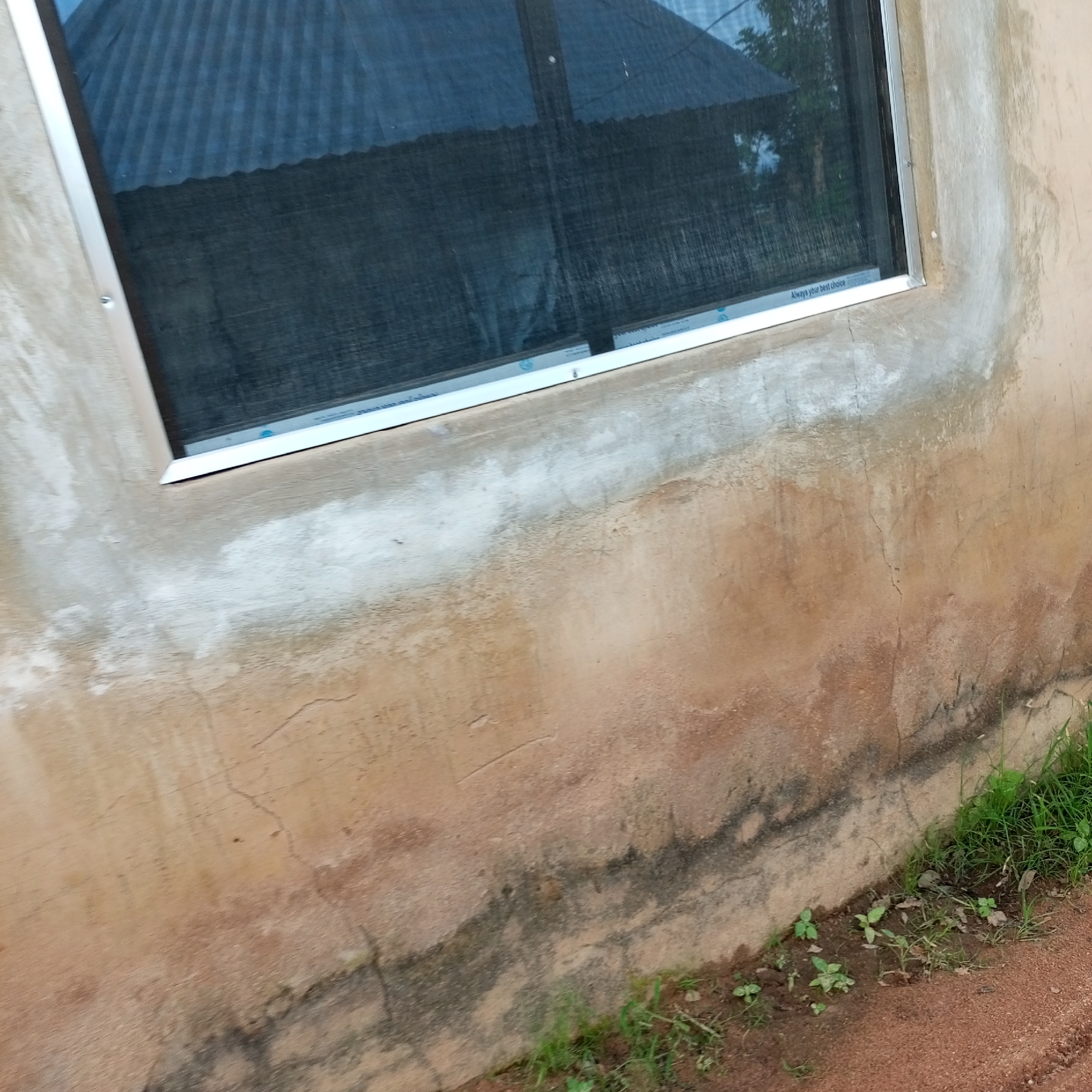 The image shows a close-up view of a section of a building's exterior wall and a window in Jalingo, Nigeria. The wall is made of concrete and exhibits signs of age and weathering, with patches of discoloration, some lighter, chalky areas, and darker stains, possibly from moisture or mold. There are also visible cracks in the plaster. The window has a metallic frame and is covered with a dark mesh screen, likely to prevent insects from entering. Through the screen, a corrugated metal roof of another structure is visible, as are some trees and foliage in the background, suggesting an outdoor environment. The ground in front of the wall is covered with reddish-brown soil and sparse green grass and small plants. There are no people or animals visible in the image.