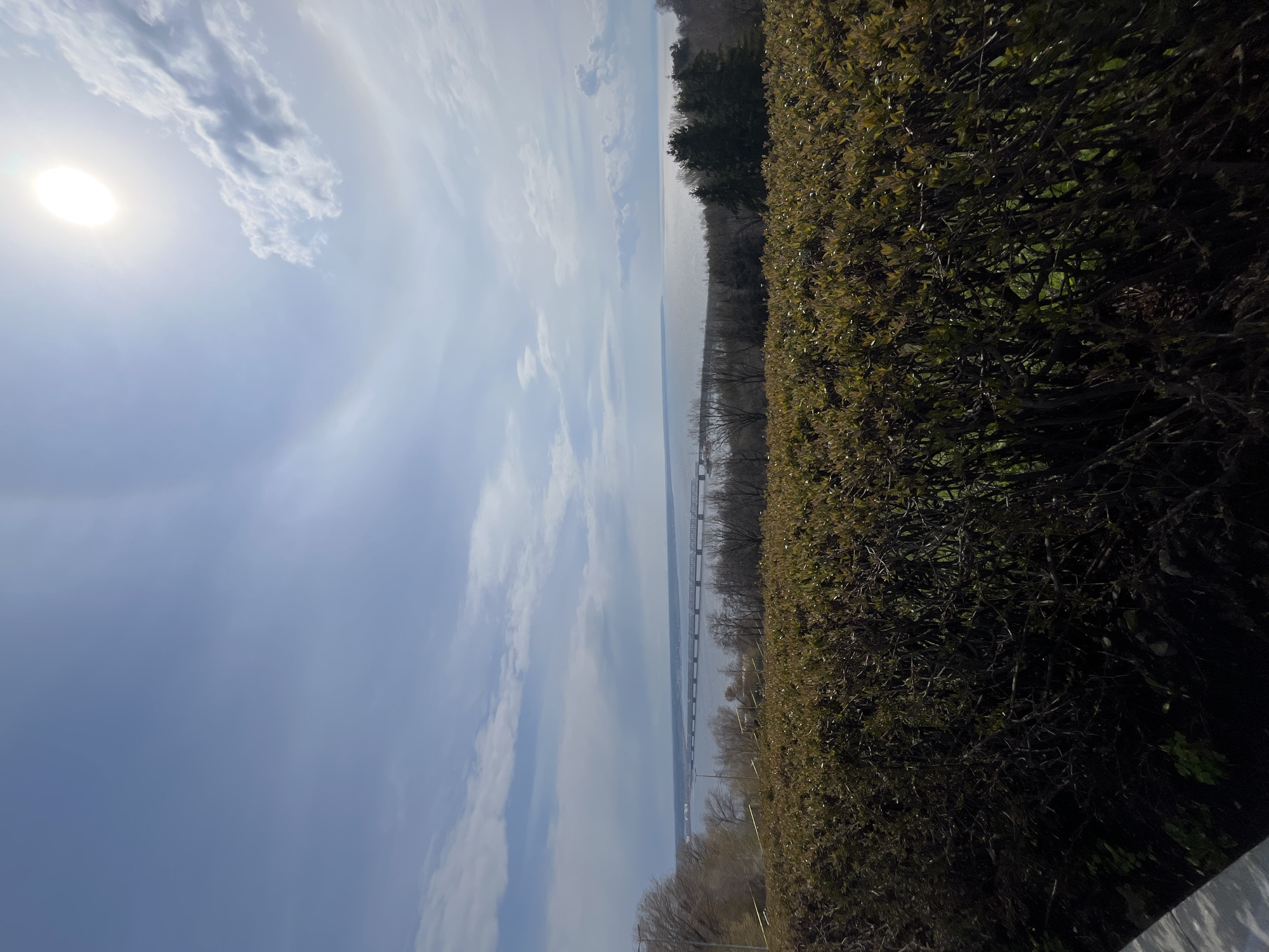 This landscape photograph captures a wide, scenic vista on a bright, sunny day, likely overlooking the Volga River in Ulyanovsk, Russia. The sky, dominating the upper left and central portions of the image, is a clear blue adorned with scattered white clouds. The sun is prominently visible in the upper left, casting a bright glare.
In the foreground, a dense, dark green hedge or bush runs along the bottom and right side of the frame, partially obscuring the immediate view. Beyond the hedge, a vast body of calm water stretches across the middle ground, reflecting the bright sky. In the far distance, a long, low-lying bridge or structure can be seen spanning the water, connecting the distant banks. The opposite shoreline is lined with trees, many of which appear bare, suggesting a late winter or early spring season.
No people or specific activities are depicted. The weather is clear and bright, indicating daytime. There is no visible text in the image. The overall impression is one of serene natural beauty and expansive open space.