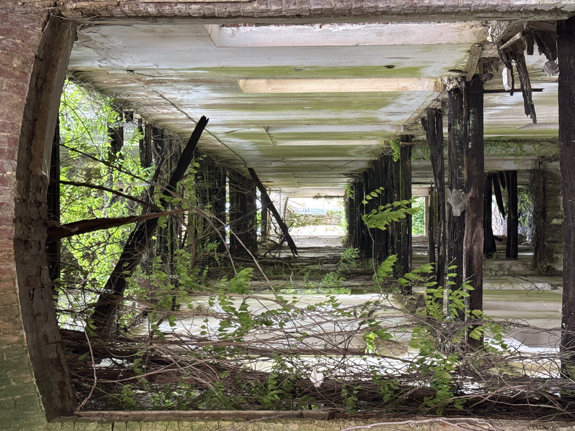 The image depicts the interior of a derelict building overgrown with vegetation. The structure appears to be a corridor with decaying concrete ceilings and support beams, heavily colonized by moss and other organic matter. Vertical wooden supports, some charred, are visible along the corridor. Plants and vines intrude into the space, obscuring the view. The background shows a glimpse of daylight. The scene conveys a sense of abandonment and decay. Location is Unknown, Unknown.