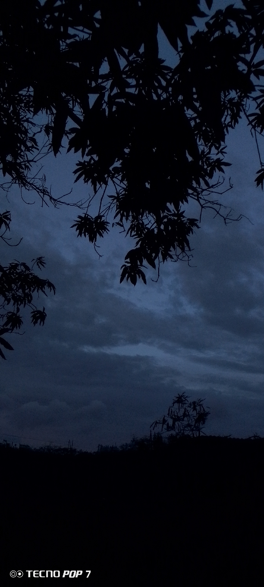 The image displays a low-light outdoor scene in Altagracia, Venezuela, characterized by silhouetted vegetation against a heavily clouded sky. The upper half of the frame is dominated by the dark, intricate outlines of tree branches and dense foliage, indicating large, mature trees positioned in the foreground or midground. These silhouettes are sharply defined against the somber blue-grey sky, which features multiple layers of dark, undulating clouds. The clouds appear denser and darker towards the lower-middle portion of the sky, with a slightly lighter, clearer blue visible at the very top. Along the horizon, a faint, dark, and indistinct silhouette suggests a distant treeline or topographical features. The bottom section of the image is rendered completely black, obscuring any ground details. No individuals, animals, or artificial structures are discernible within the primary scene. The ambient light is minimal, consistent with twilight or a heavily overcast condition, creating a strong contrast between the dark foreground elements and the muted sky.