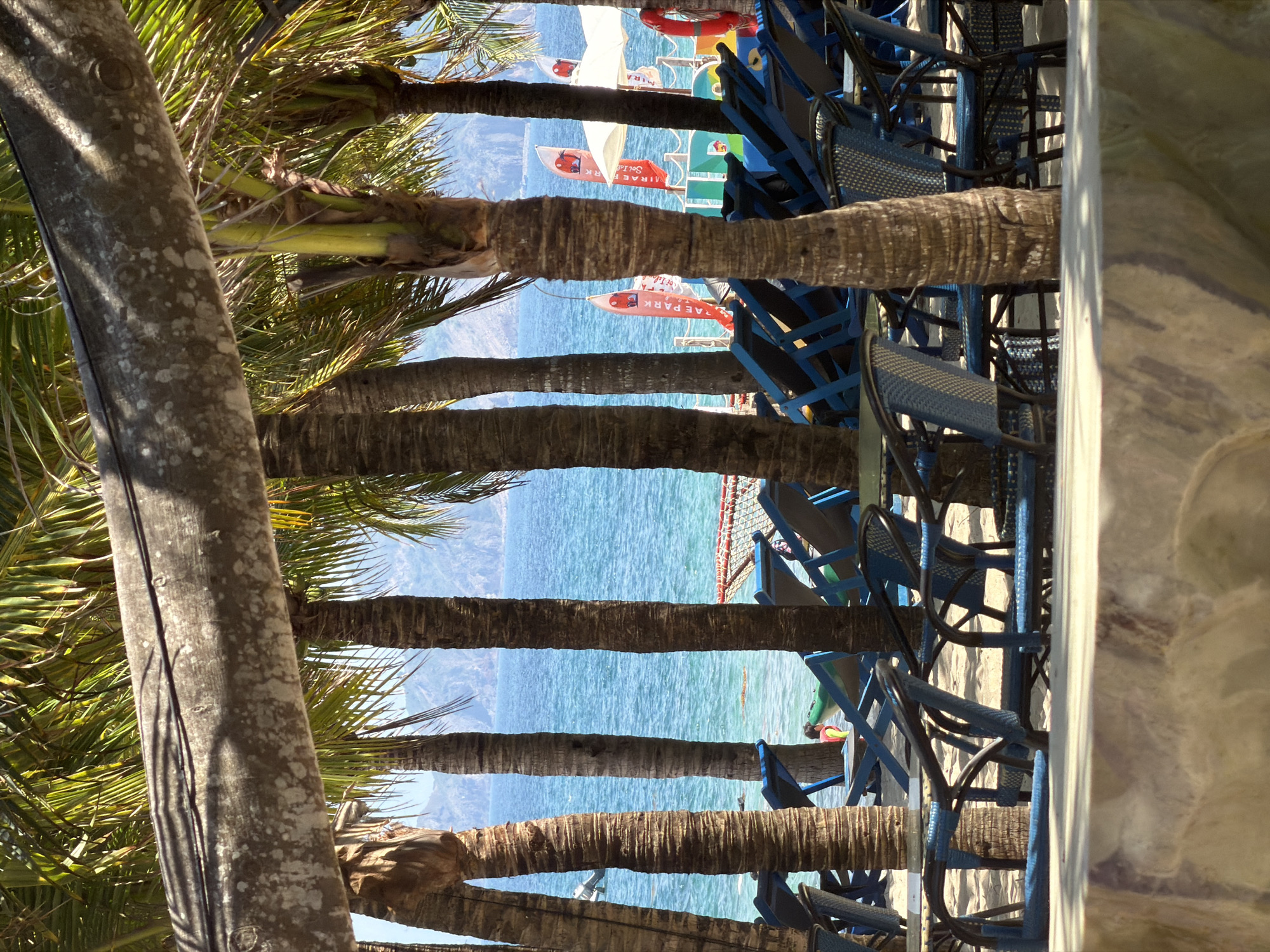 The image shows a beach scene in Nam Nha Trang Ward, Vietnam. Palm trees line the shore, with a view of the ocean visible between their trunks. Several blue beach chairs are arranged on the sand. In the distance, there is a water park with inflatable structures and flags, and people can be seen enjoying the water.
