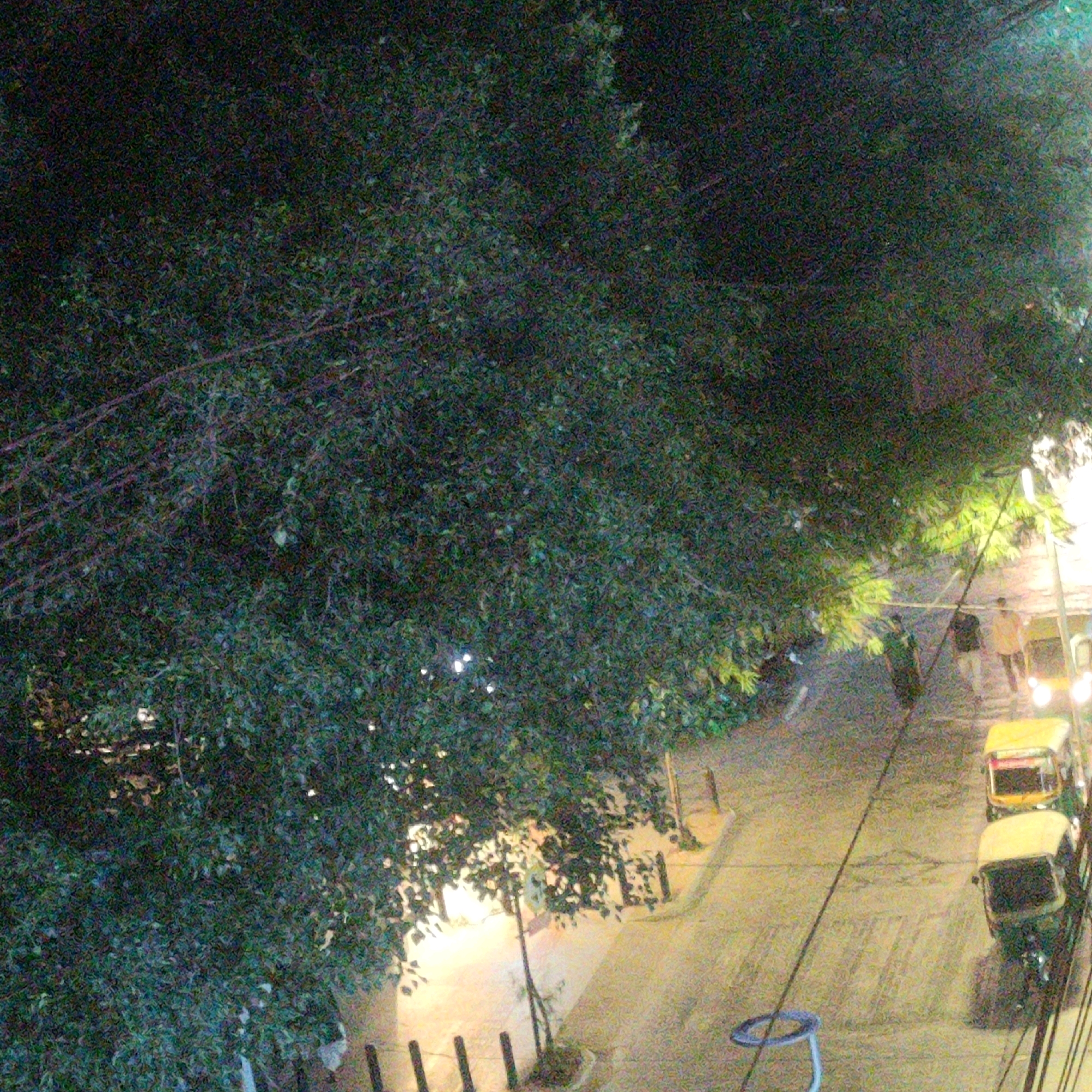 This is an aerial shot of a street in Bengaluru, India, at night. The image is dominated by the dense foliage of a large tree in the foreground, casting shadows over a street scene below. The street is illuminated by streetlights and the headlights of vehicles.
Two auto-rickshaws are visible on the street. The first, a yellow auto-rickshaw, is positioned further down the road and is mostly obscured by shadows. The second, also a yellow auto-rickshaw, is closer to the camera and its details are more visible. It is a three-wheeled vehicle with a covered passenger area.
There are at least two individuals walking on the street. One appears to be wearing an orange garment, and another person is walking next to them. Another individual is visible near the yellow auto-rickshaw, wearing a dark garment. The people are walking along the side of the road.
The environment suggests a typical urban setting in Bengaluru, characterized by the presence of auto-rickshaws, tree-lined streets, and nighttime lighting. The overall atmosphere is one of a quiet evening on a city street. The image has a grainy quality, typical of low-light photography.