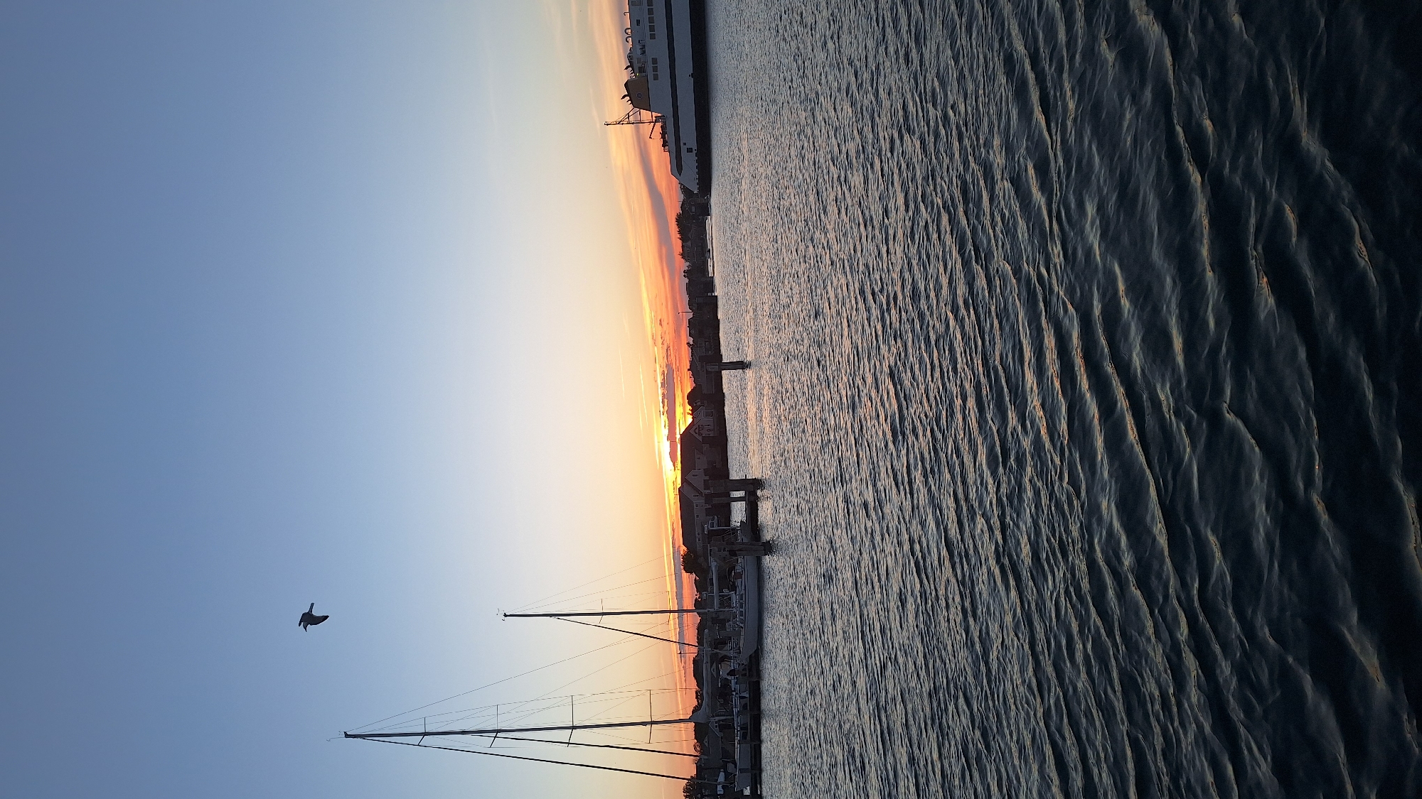 A wide shot captures a tranquil harbor scene at dusk on Nantucket, Massachusetts. The sky is a gradient of pale blue transitioning to a vibrant orange and pink sunset near the horizon, with a single seagull in flight against the lighter sky. The water in the foreground is a deep, rippling blue, reflecting the fading light. Moored sailboats, their masts tall and slender, are visible on the left, docked at a pier. In the mid-ground, houses line the shore. On the right side of the frame, a large white ferry is navigating the waterway, its silhouette stark against the colorful sky. The overall impression is one of peaceful maritime activity as day turns to night.