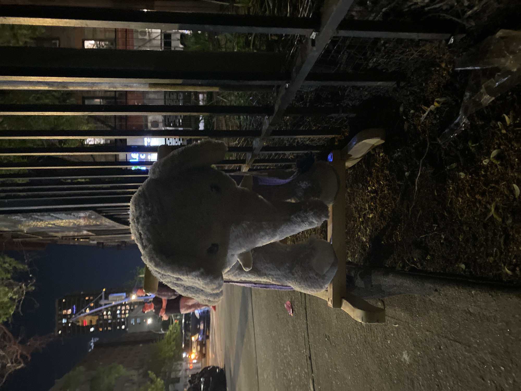 The image shows a rocking horse with a stuffed animal body, situated on a sidewalk in what appears to be a New York City neighborhood at night. The rocking horse is positioned near a black metal fence. Behind the fence, there is some vegetation and debris. Across the street, buildings with illuminated windows and street lights are visible. People can be seen walking on the sidewalk in the background. The general environment suggests an urban setting in New York City.
